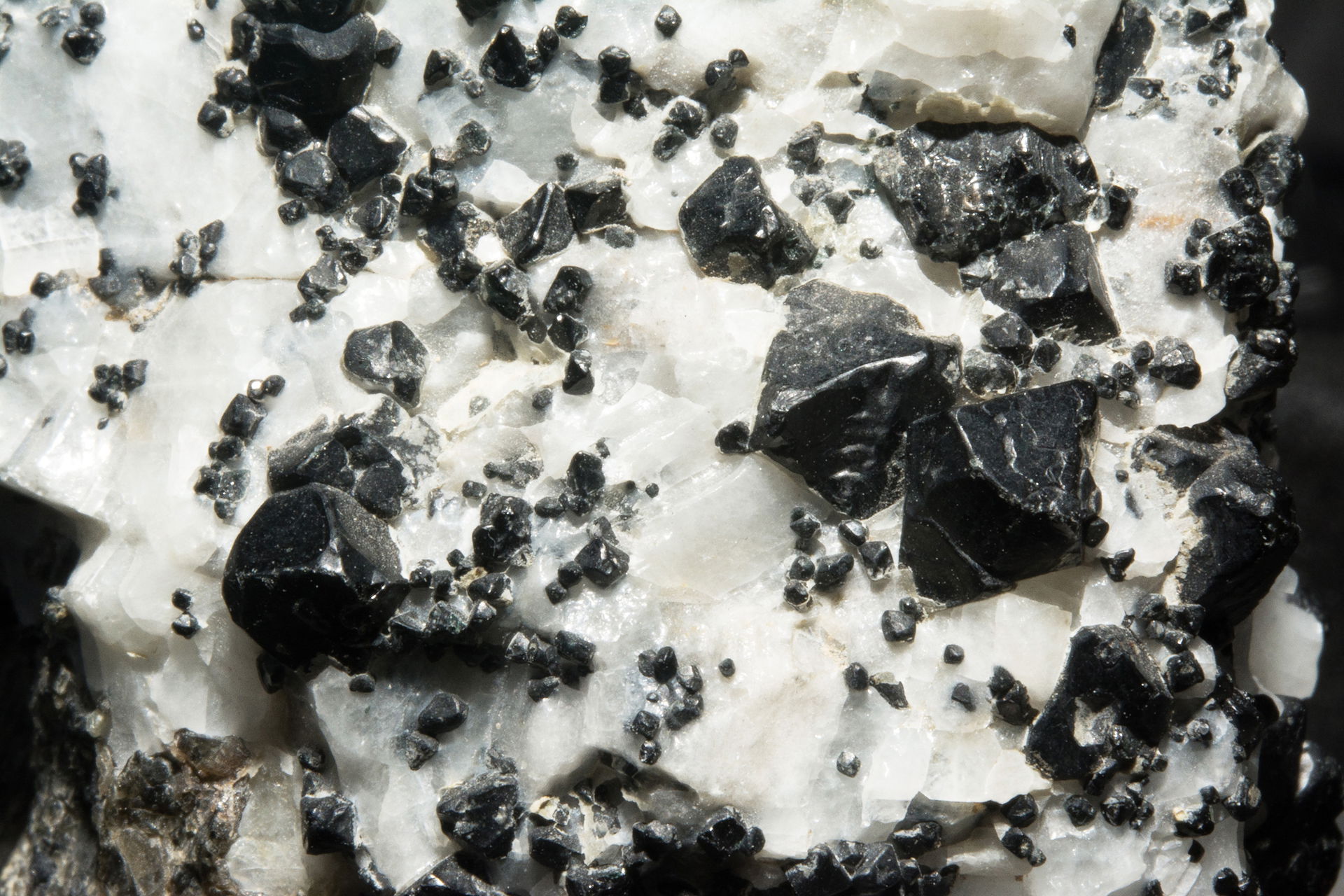 spinel var. ceylonite : Antanimora Commune, Ambovombe Dictrict,…