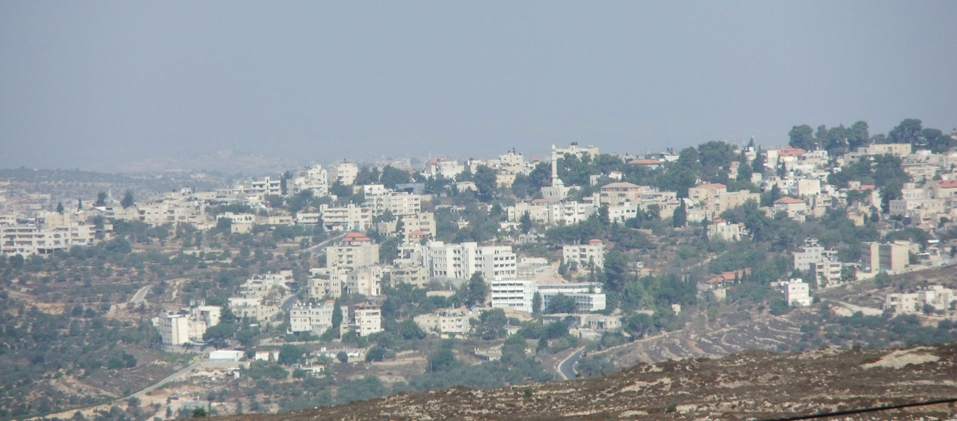 Birzeit from the Artis
