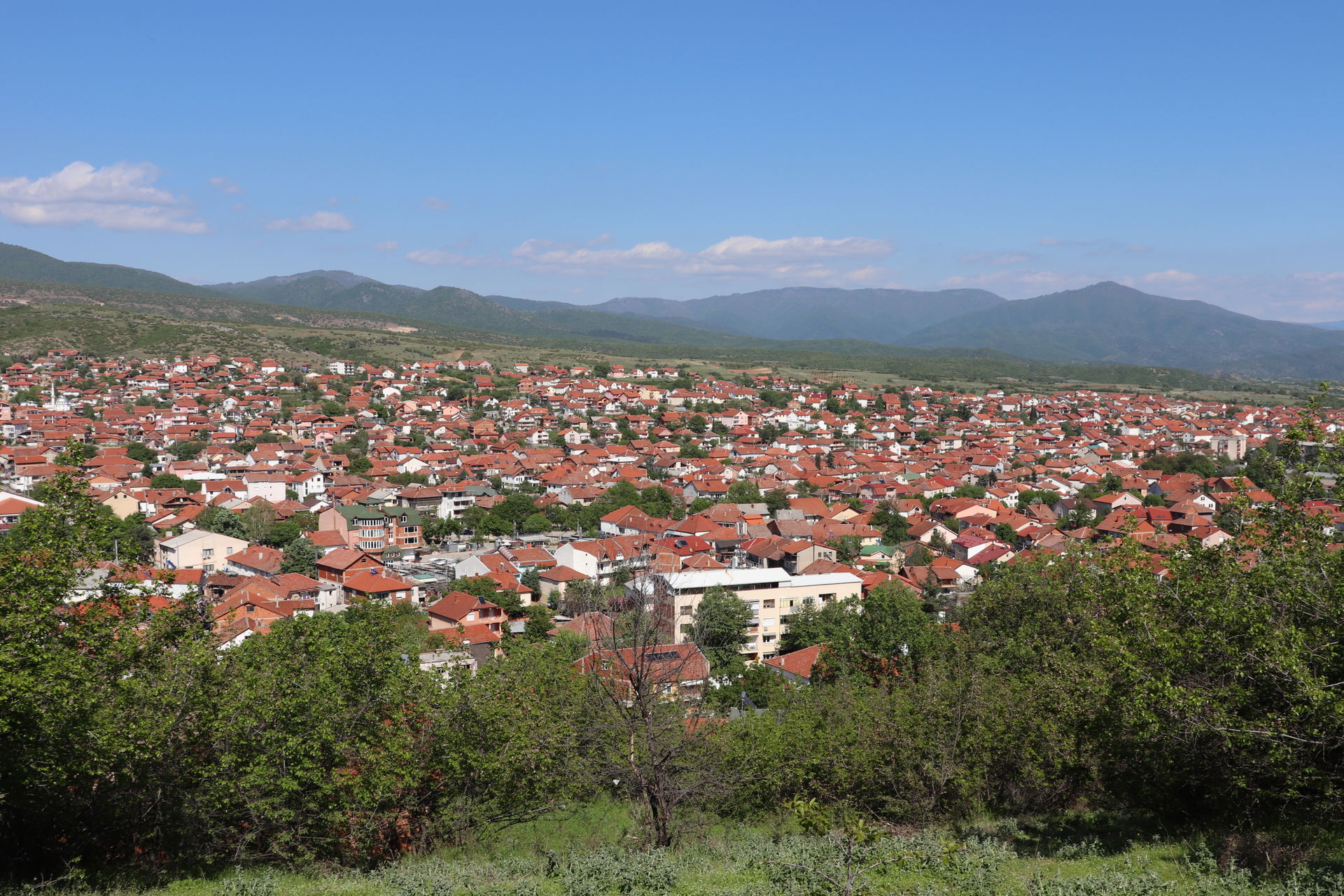 Radovis View 2019