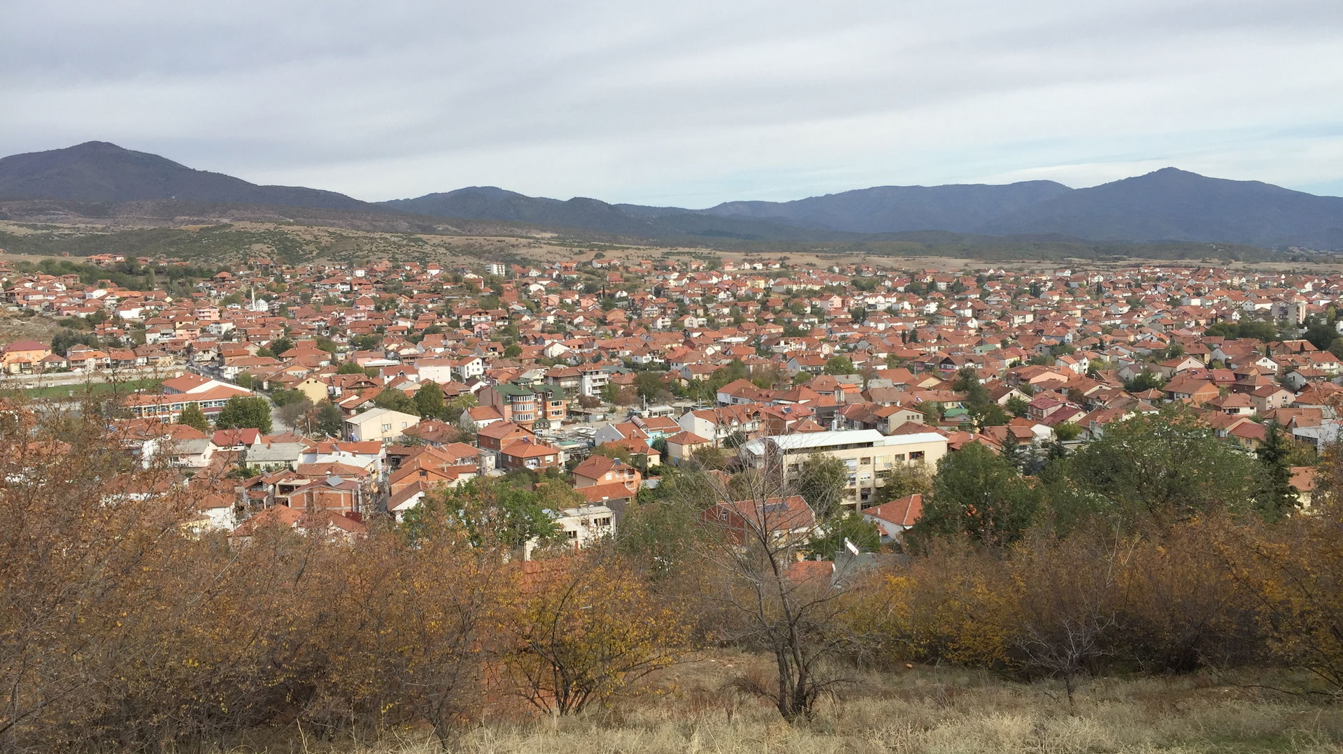 Radovis View