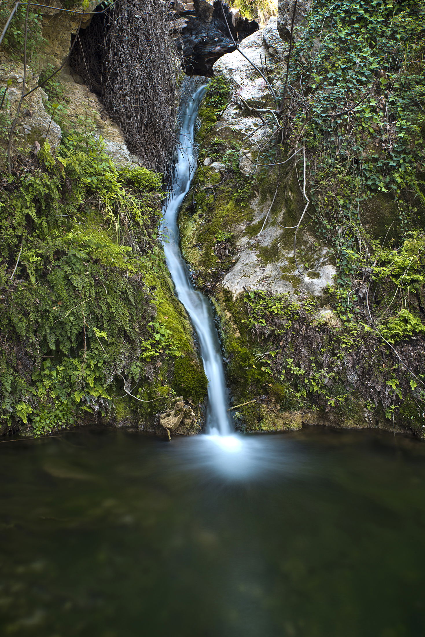This is a a picture of a Natura 2000 protected area with ID
