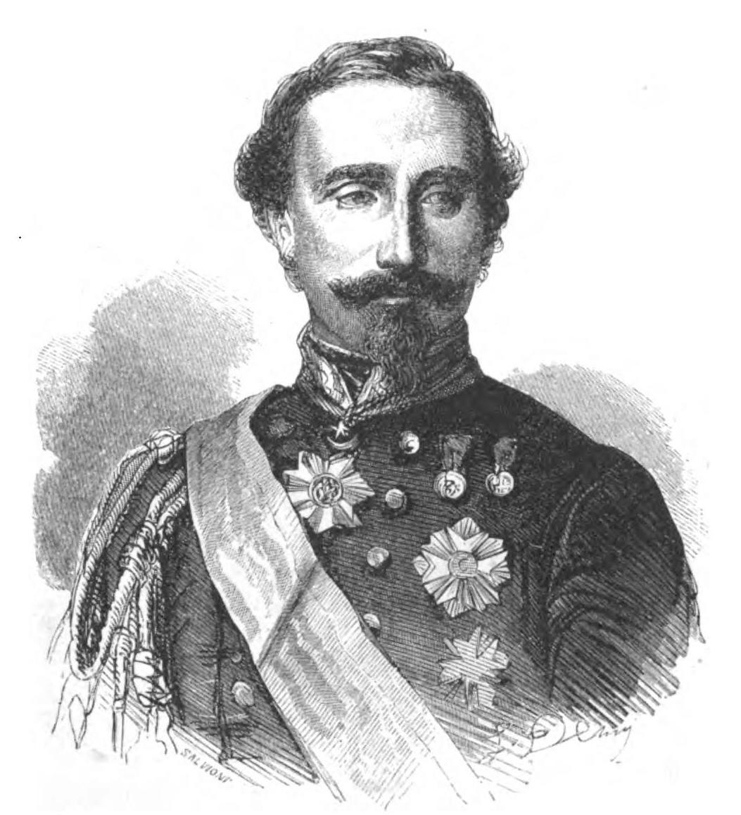 Depicted person: Alfonso La Marmora – Italian general and stat…