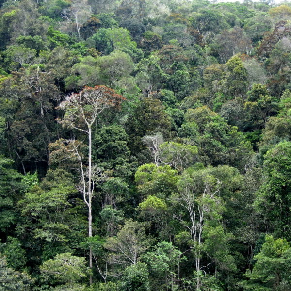Anjozorobe