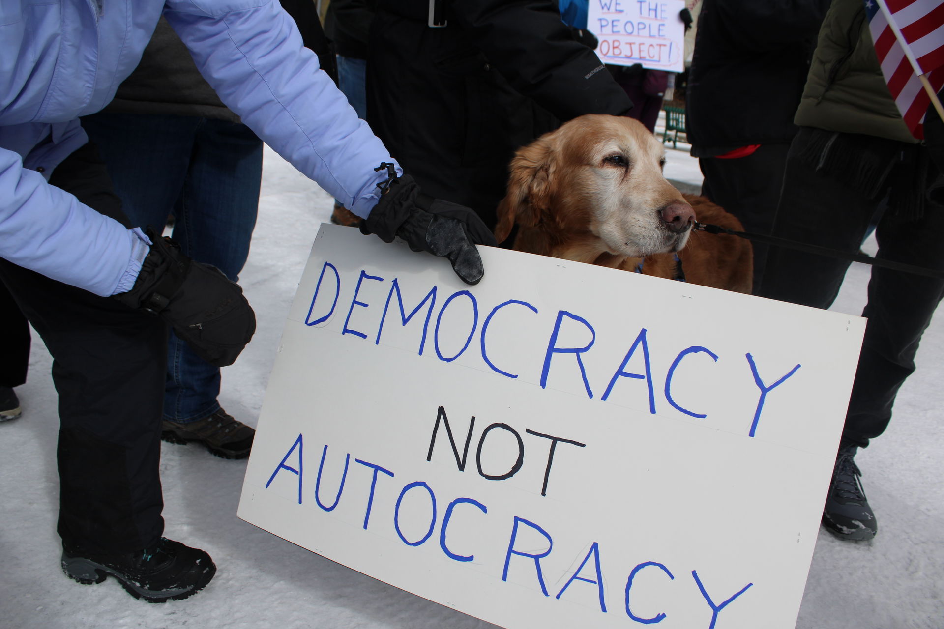 The 2025 President's Day protest demonstration against Donald T…