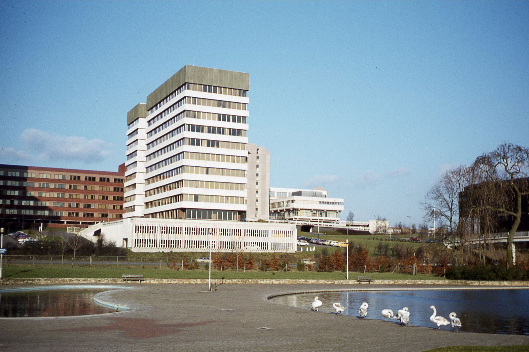In Eastrop Park, Basingstoke - View to City Wall House