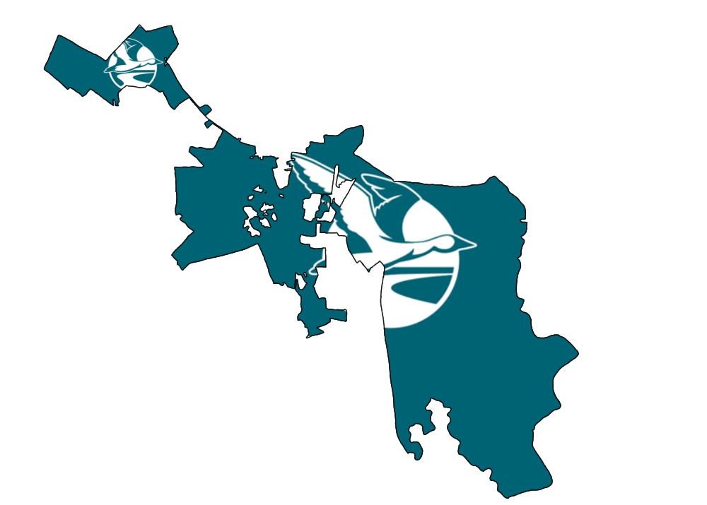 Goose Creek south carolina flag map