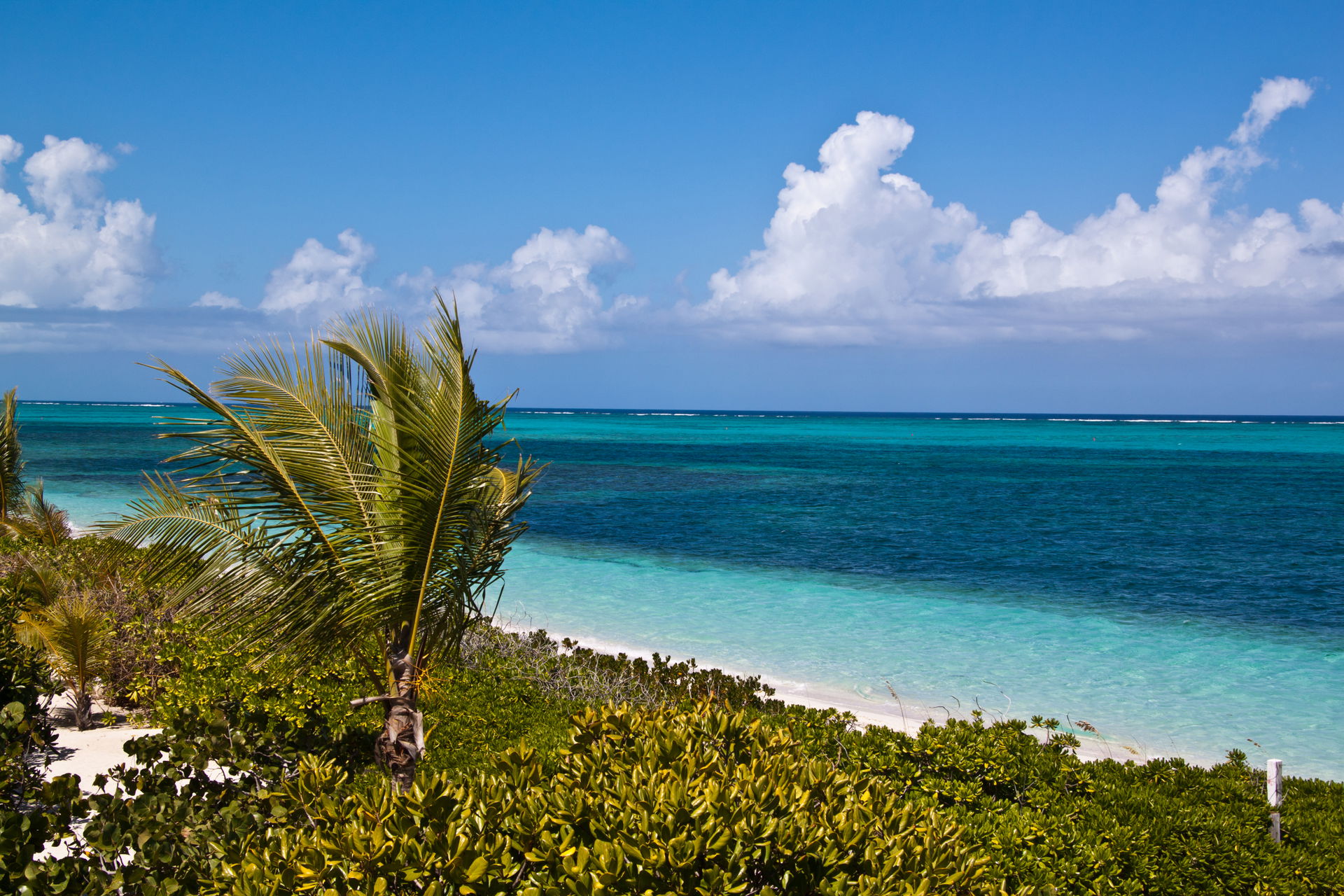 Taken February, 2011 in Turtle Cove, Providenciales, Turks and …