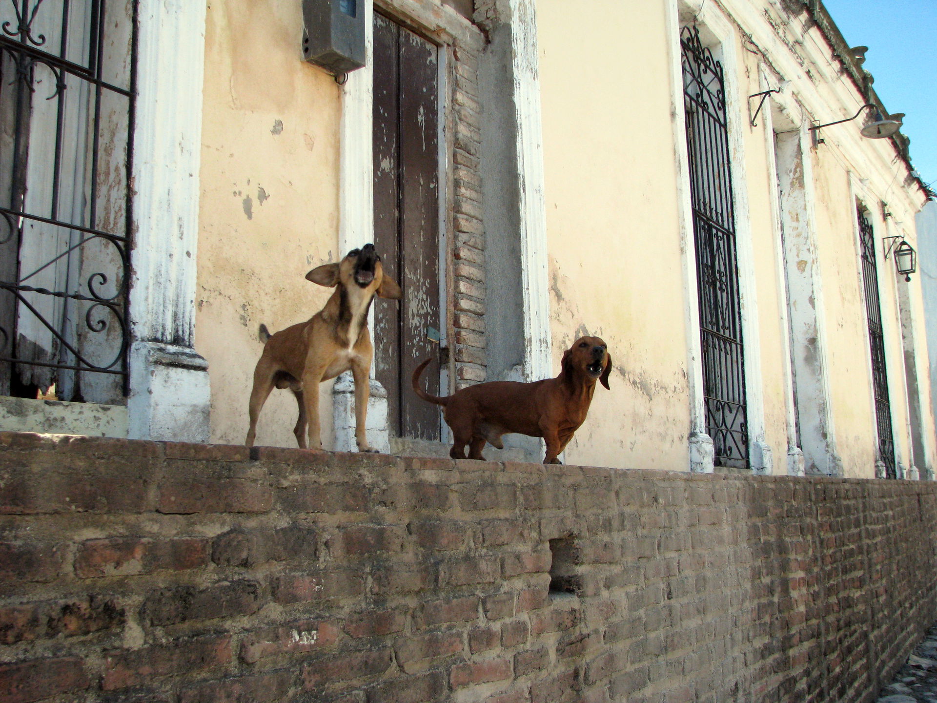 image montrant une photographie prise dans la ville de Sancti S…