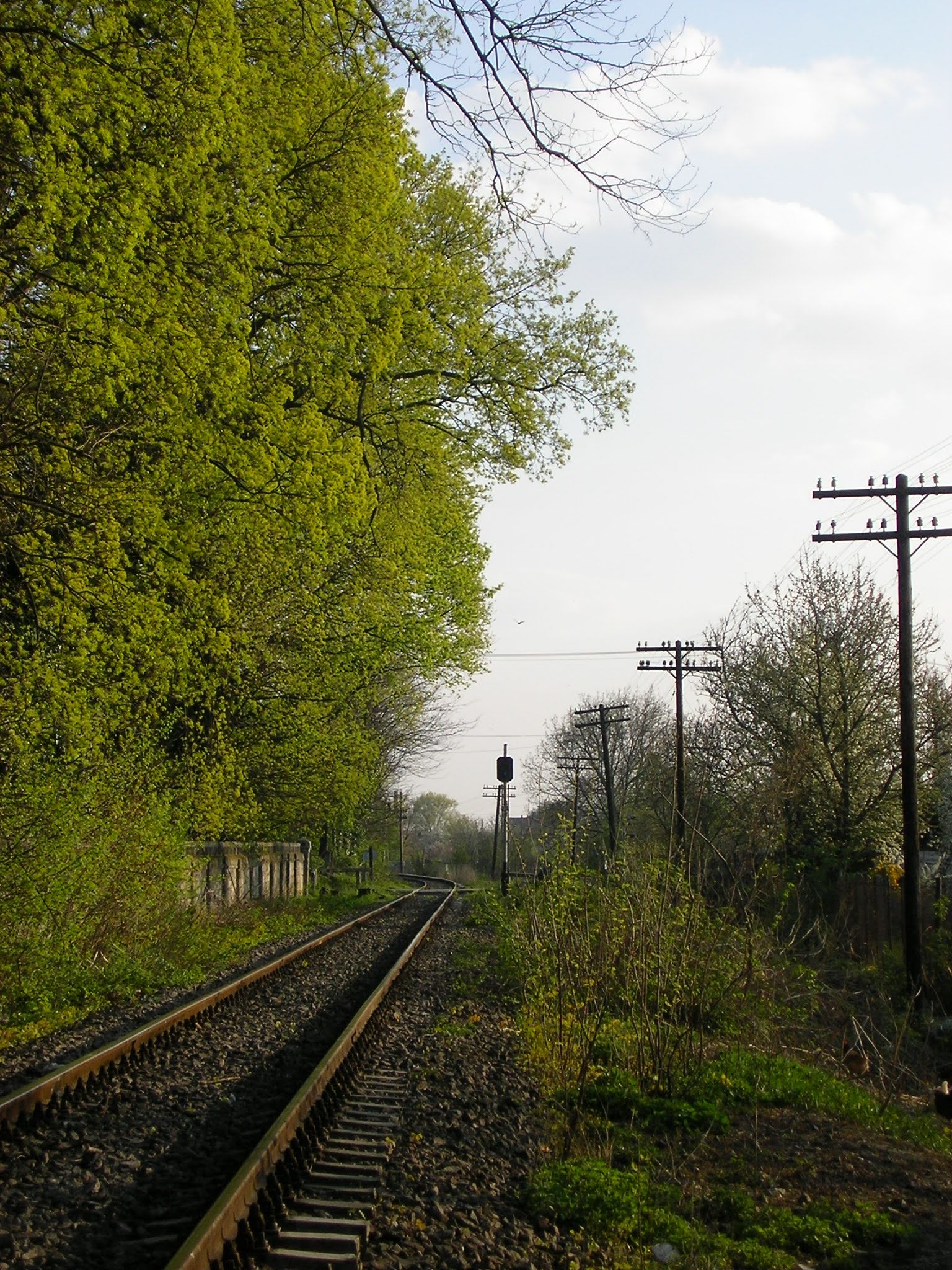 Lugoj-Ilia railway, the section adjacent to the City Hospital i…