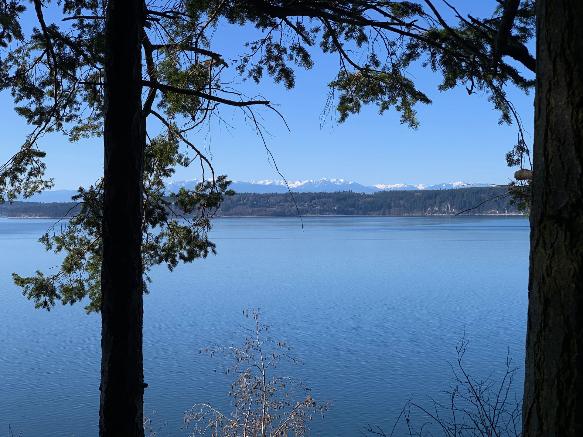 Taken on a winter day from Camano Island State Park (a Washingt…