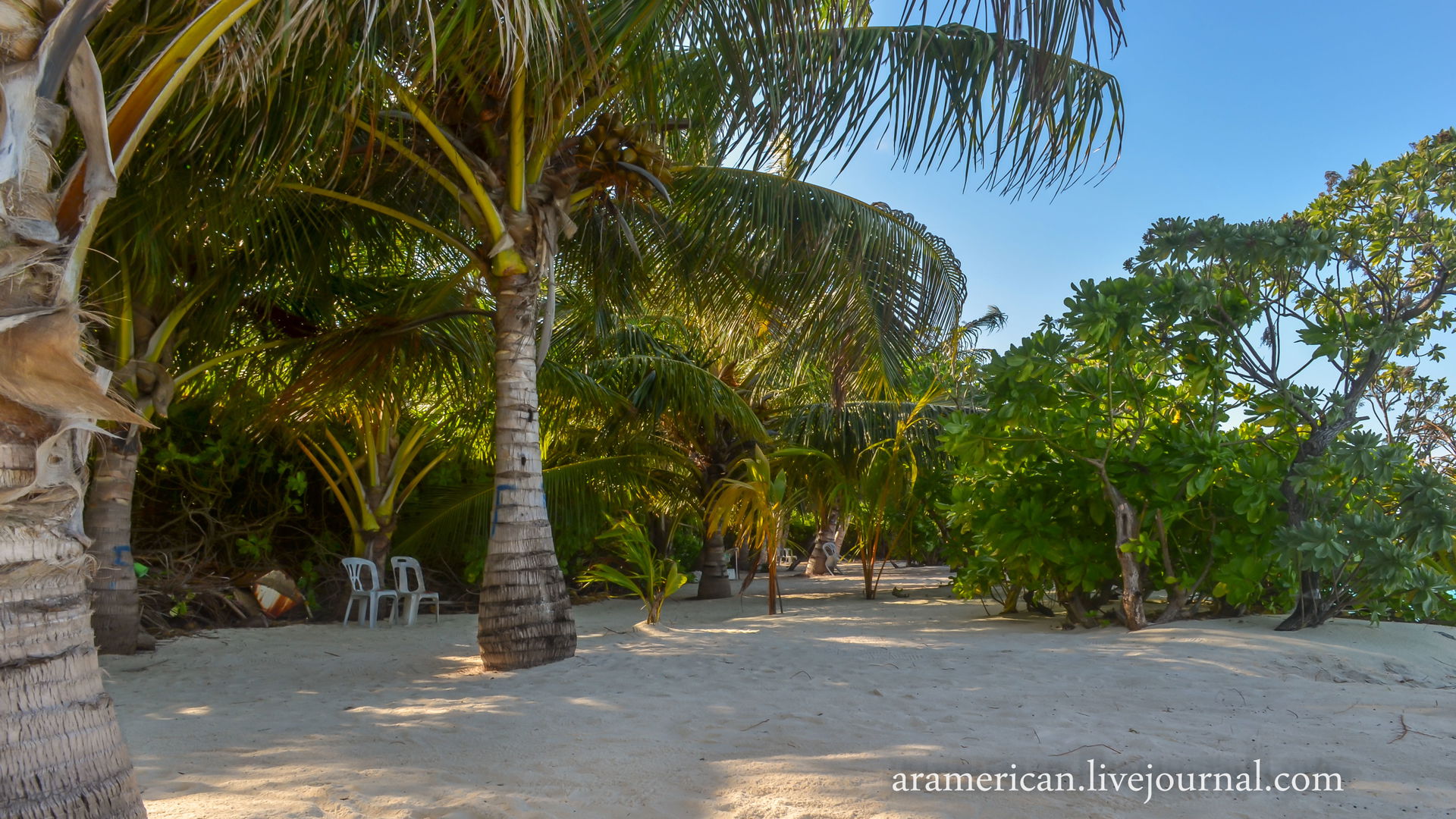 Maldives, Thoddoo