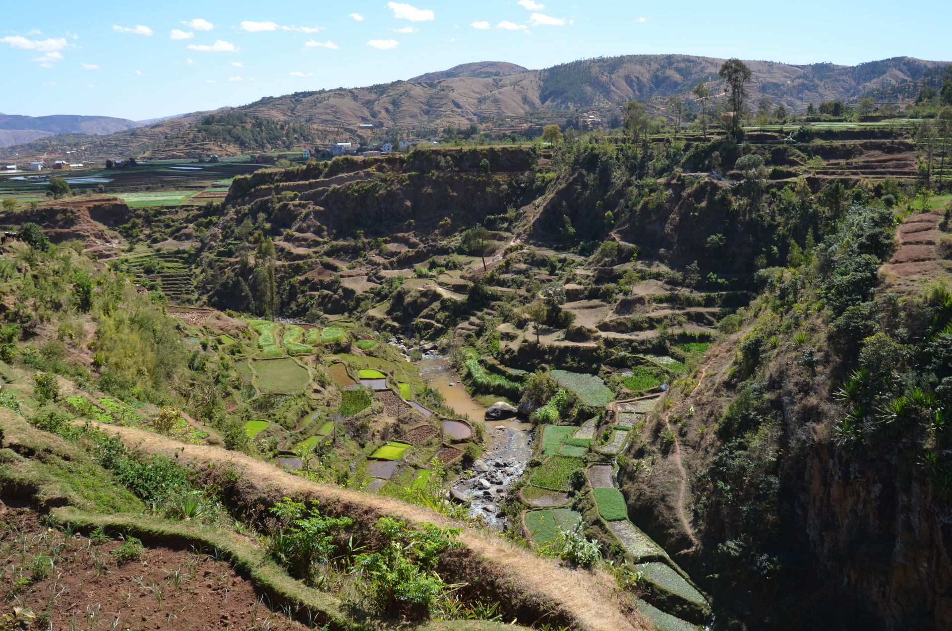 Rice fields near Betafo.