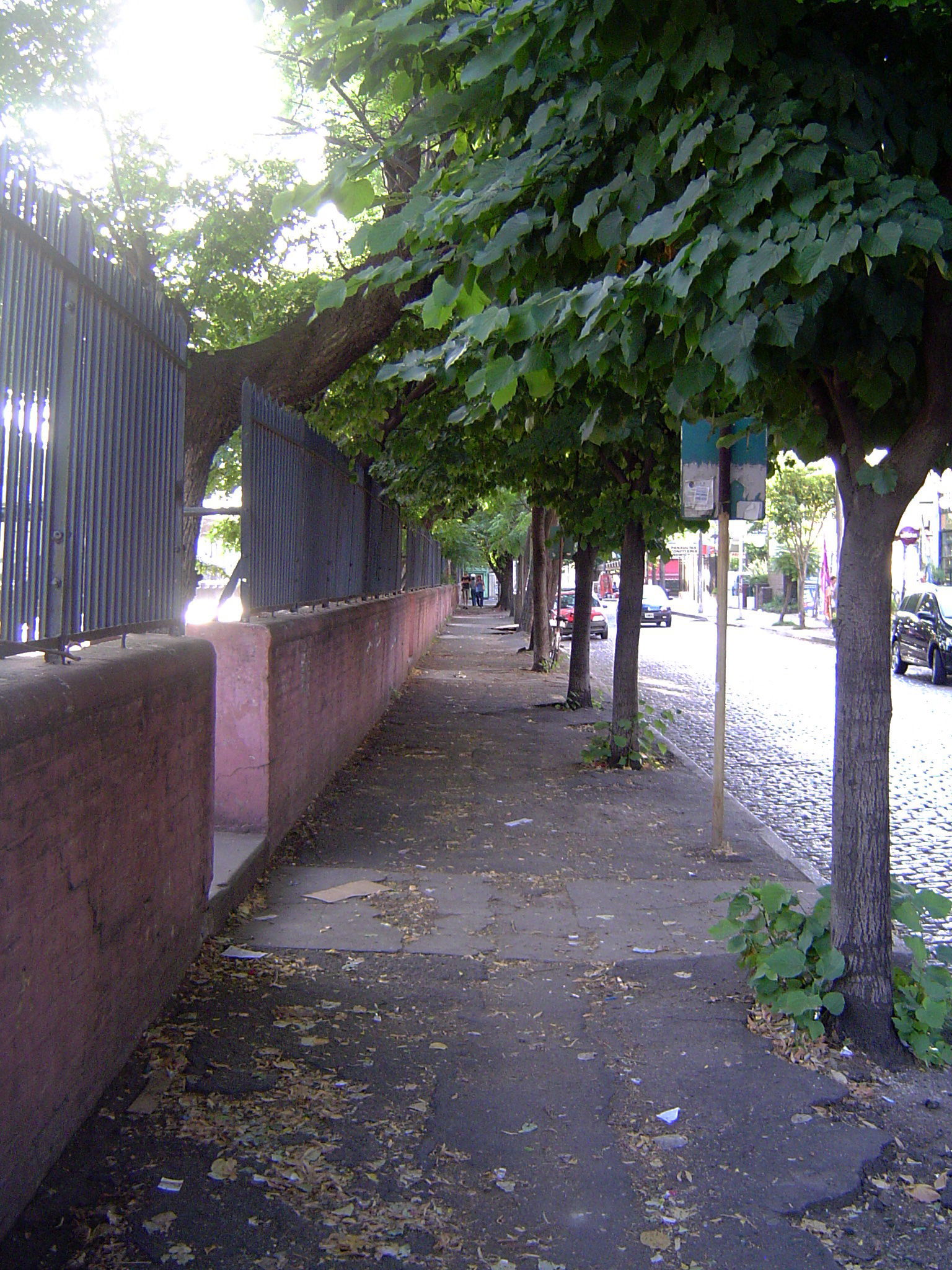 Calle Carlos Tejedor de Haedo.
