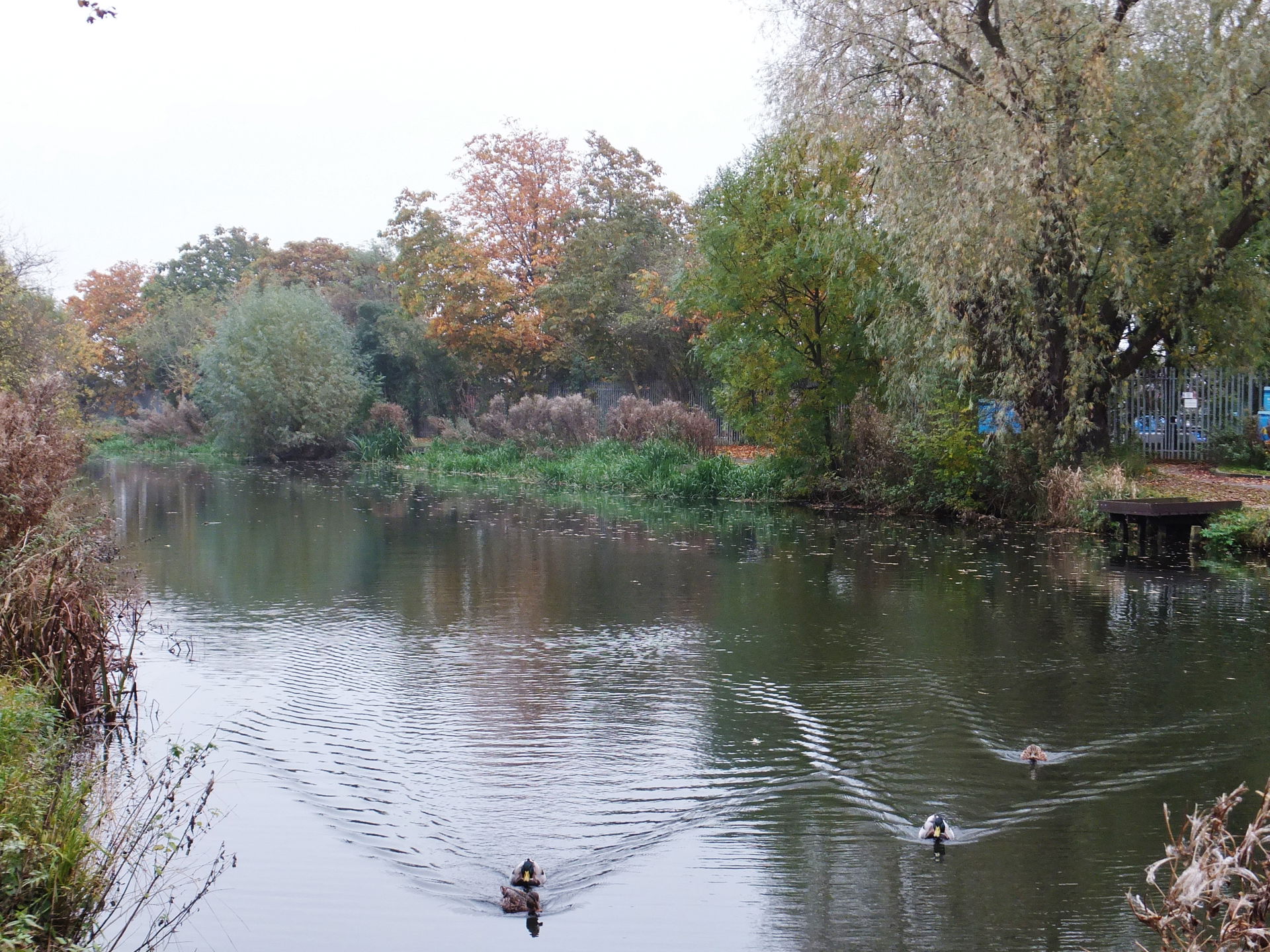 Beverley Beck, Beverley, Yorkshire