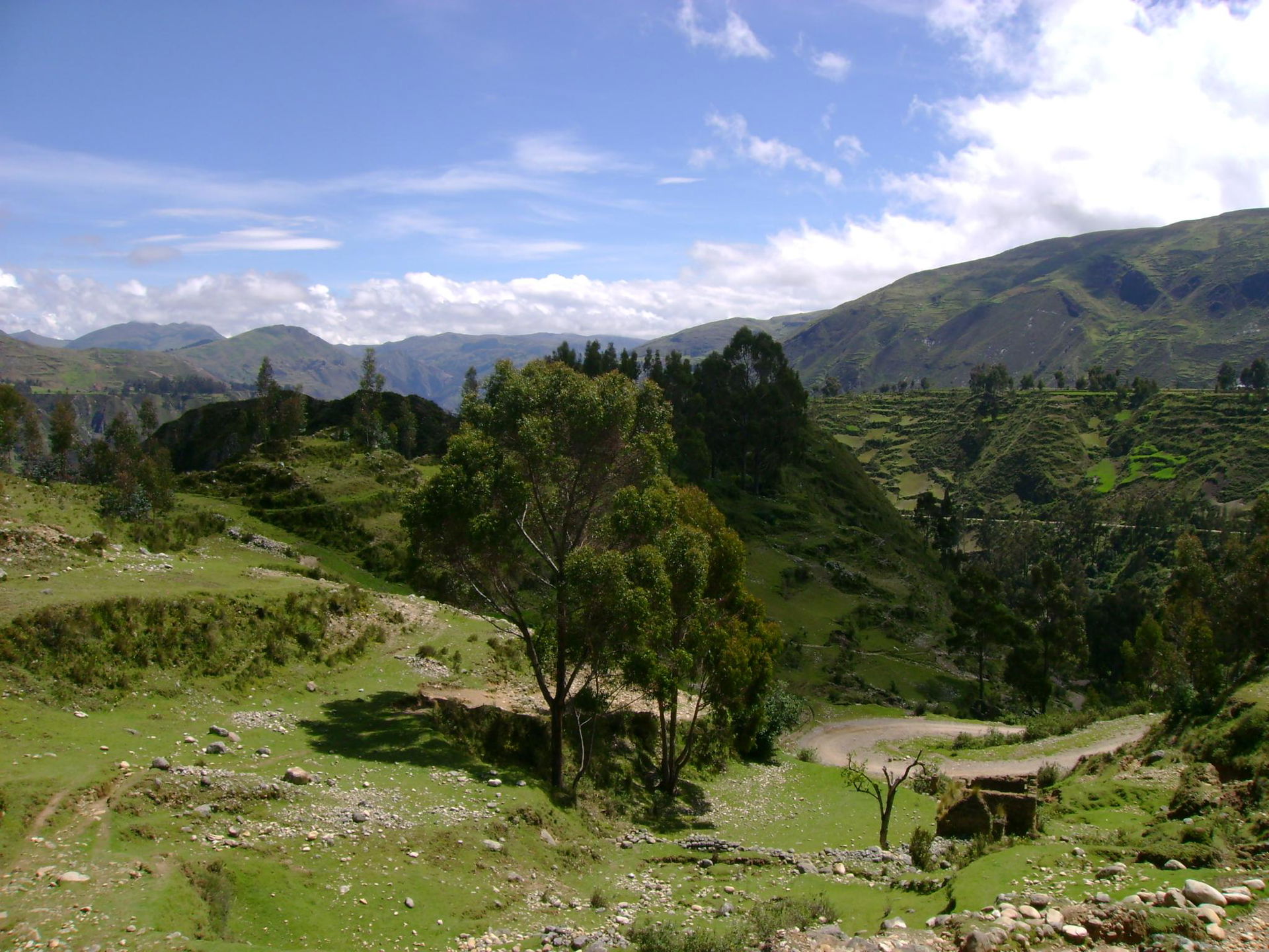 View of the gorge Marcarragra.