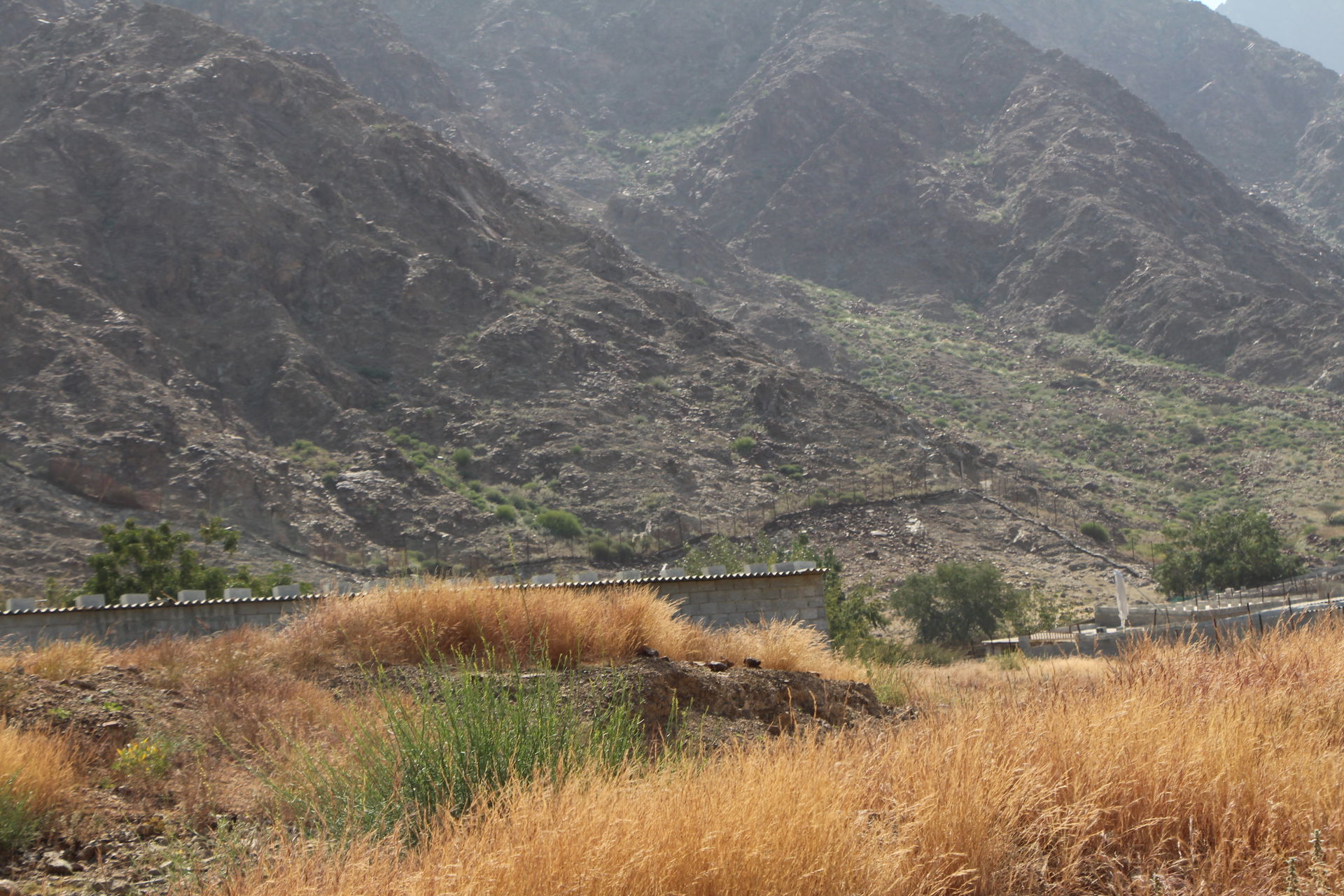 Dibba Al Fujairah rocky mountains and green hills