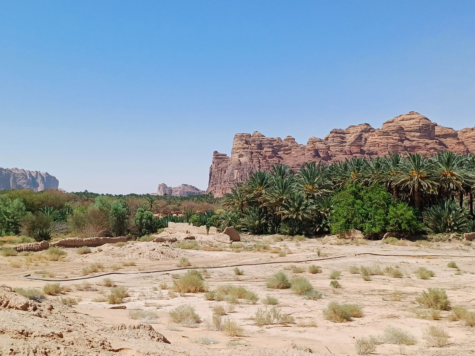 Al-'Ula oasis, Saudi Arabia