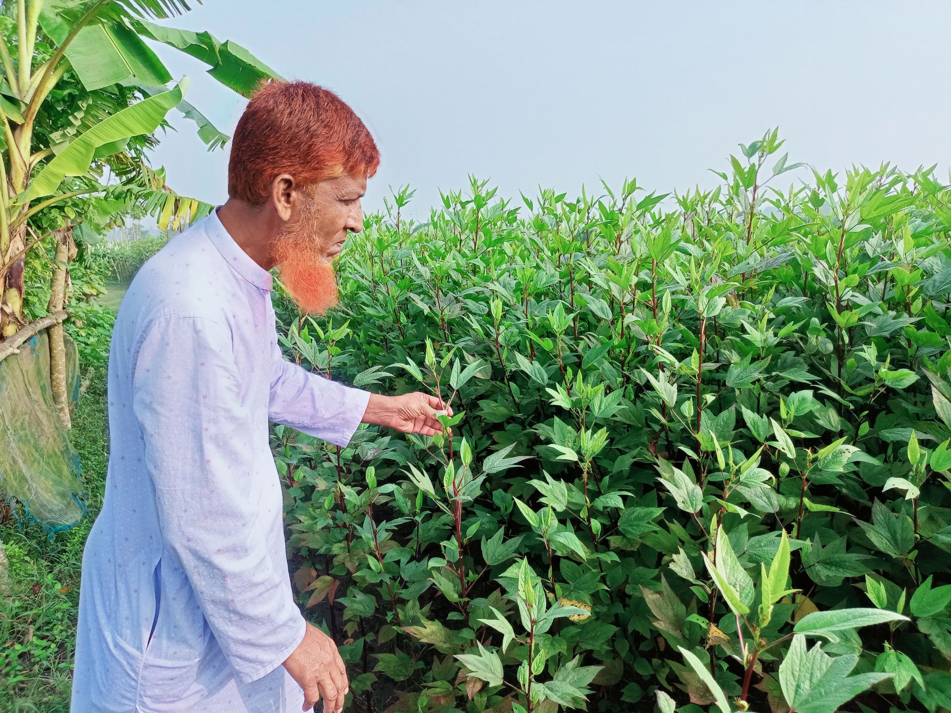 Natore Oushudhi Gram-Farmer field visit