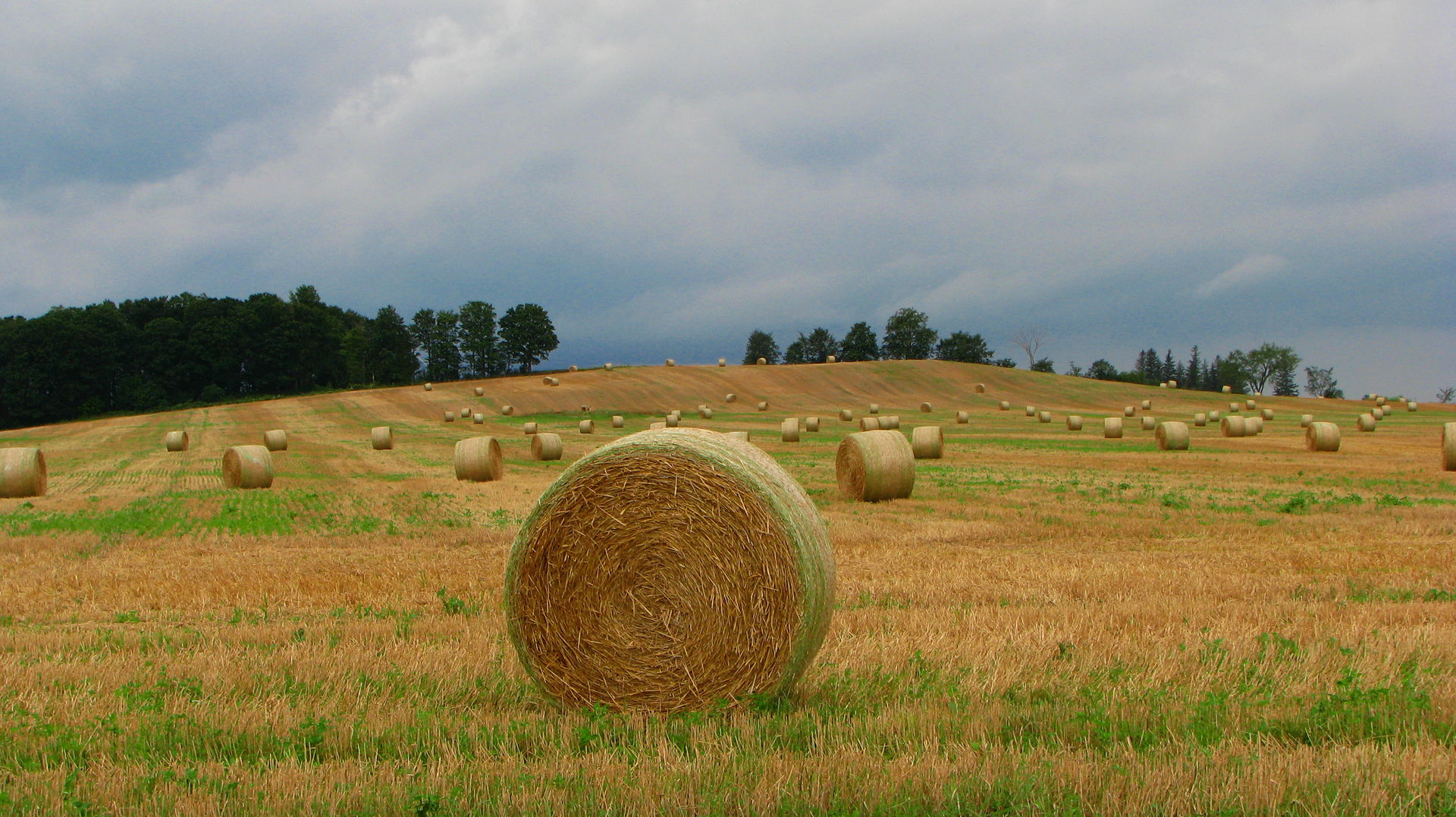 Straw bales on a stubble field in Alliston, Ontario, Canada.