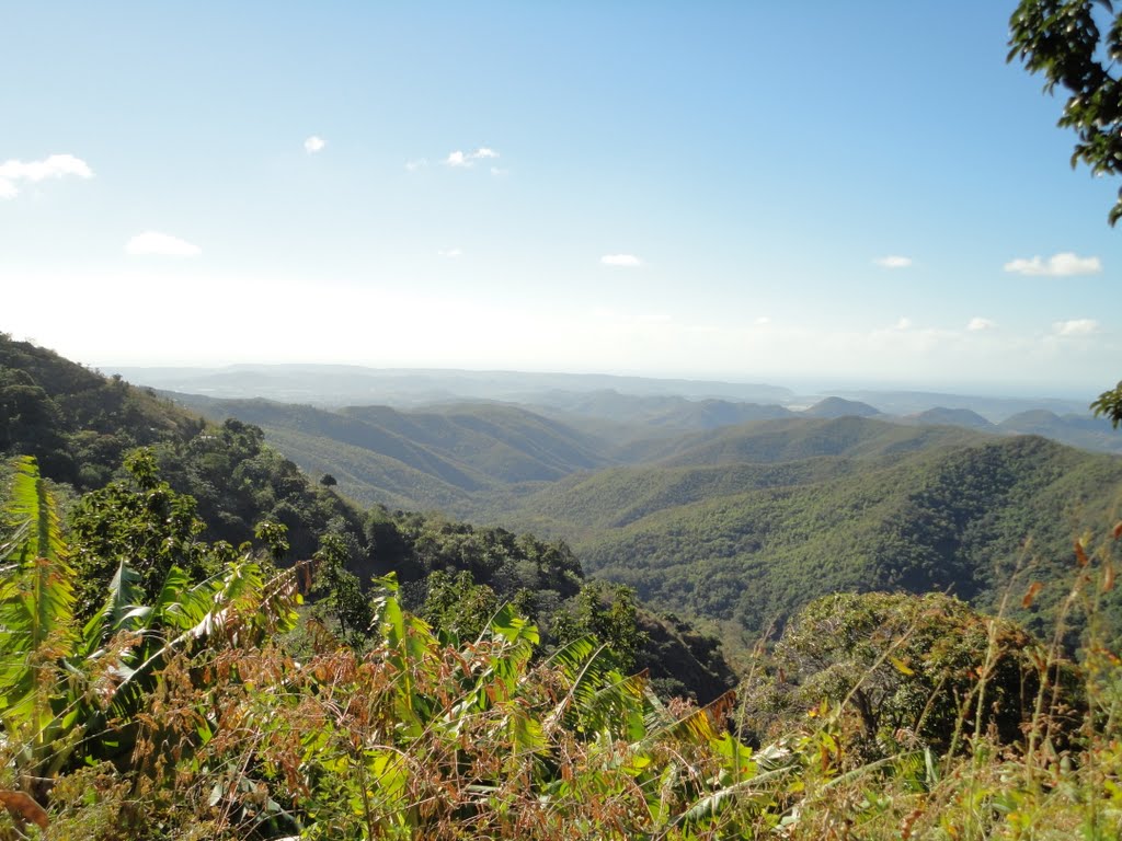 Tabonuco, Sabana Grande, Puerto Rico