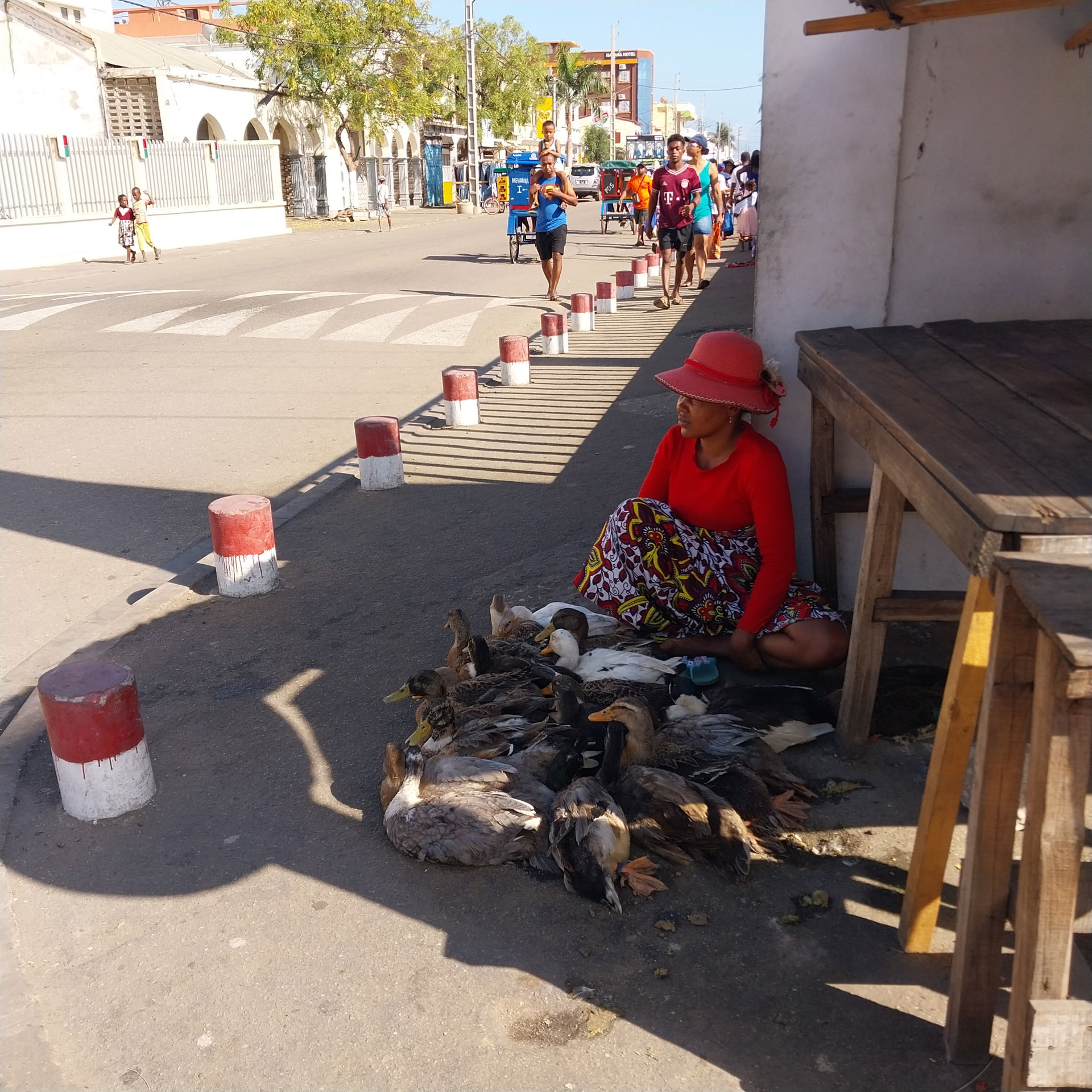 A lady selling ducks on a Sunday morning along the street pavem…