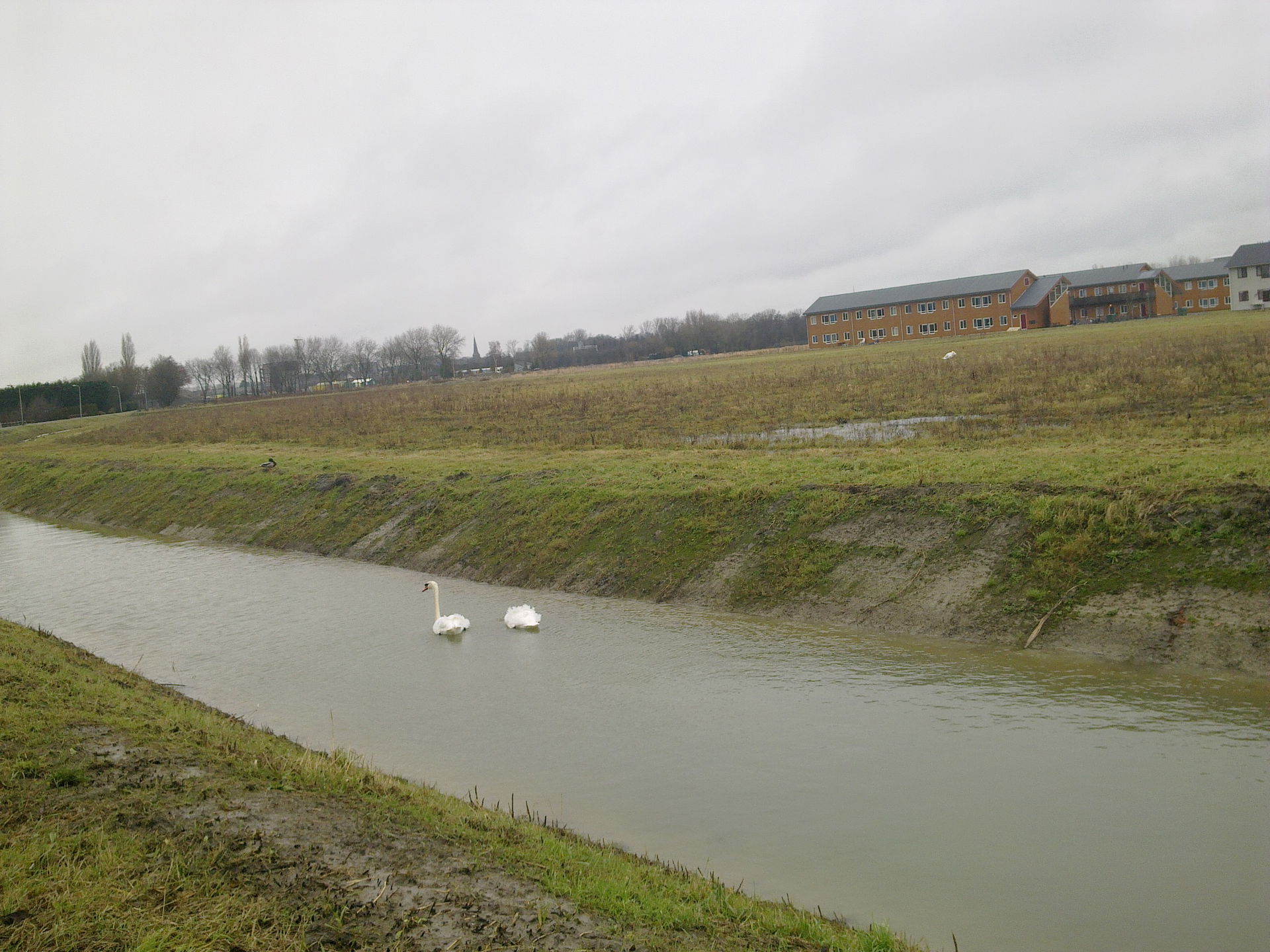 Oegstgeest