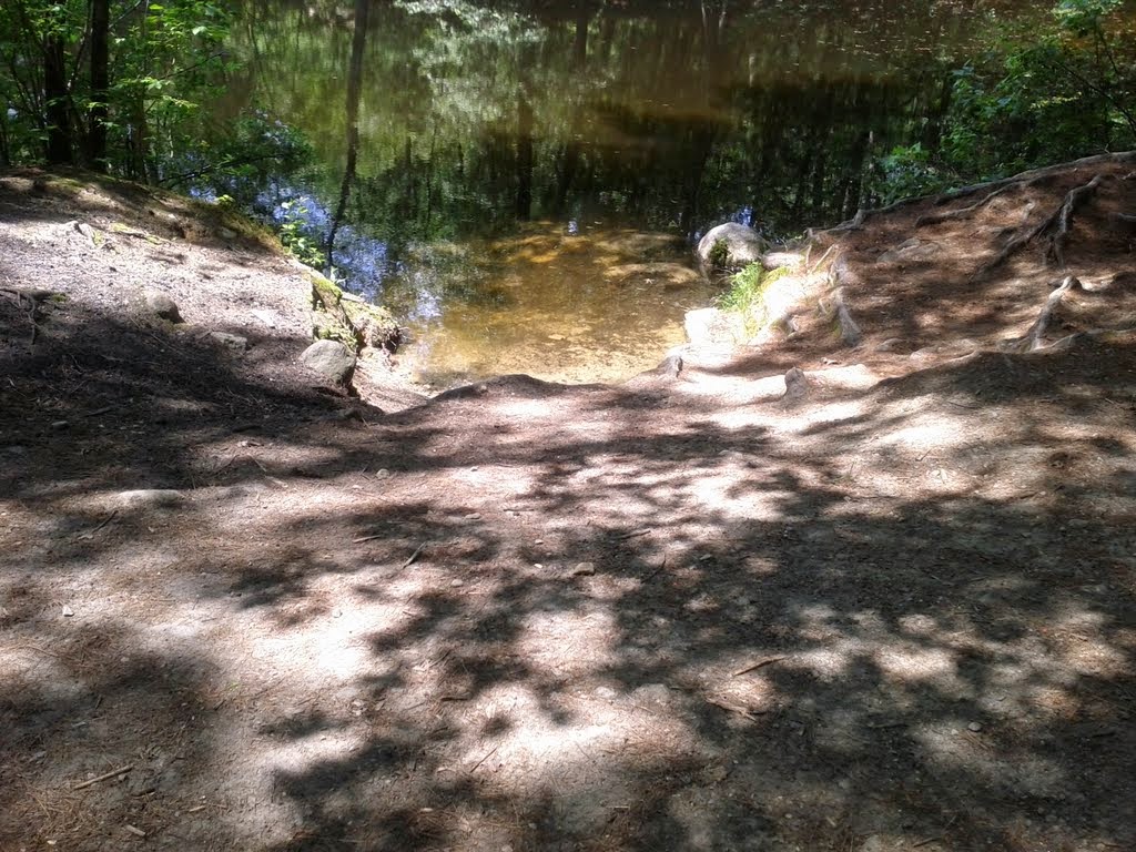 Quiet pond in the suburbs of Beford