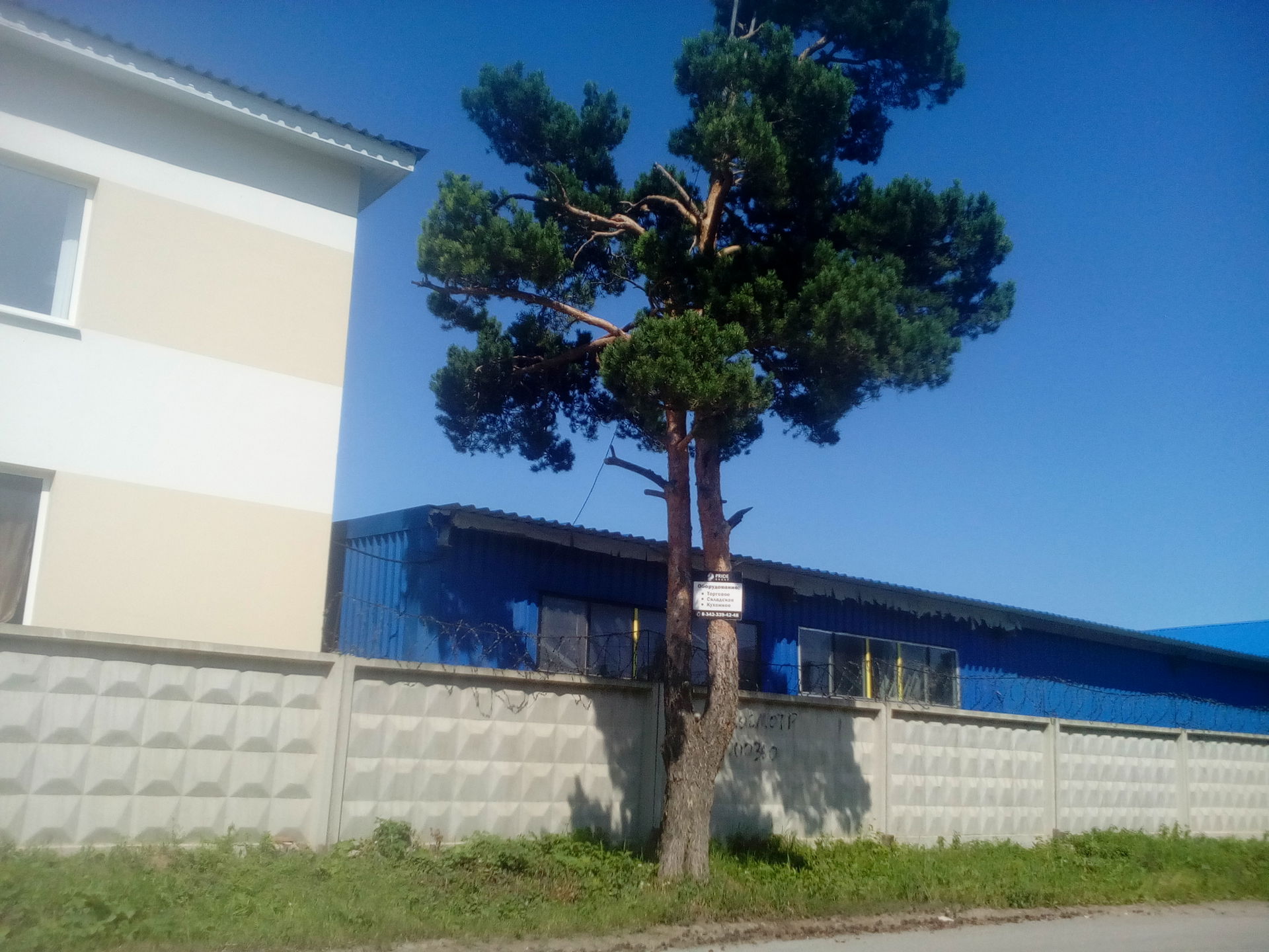 Березовский шаары