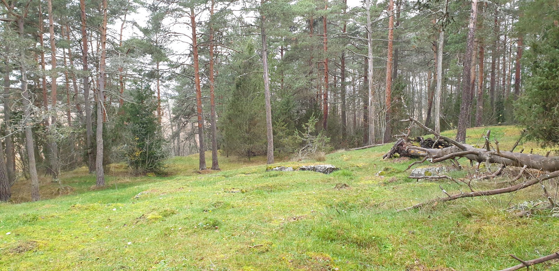 Salmistonmäki prehistoric archaeological settlement site in For…