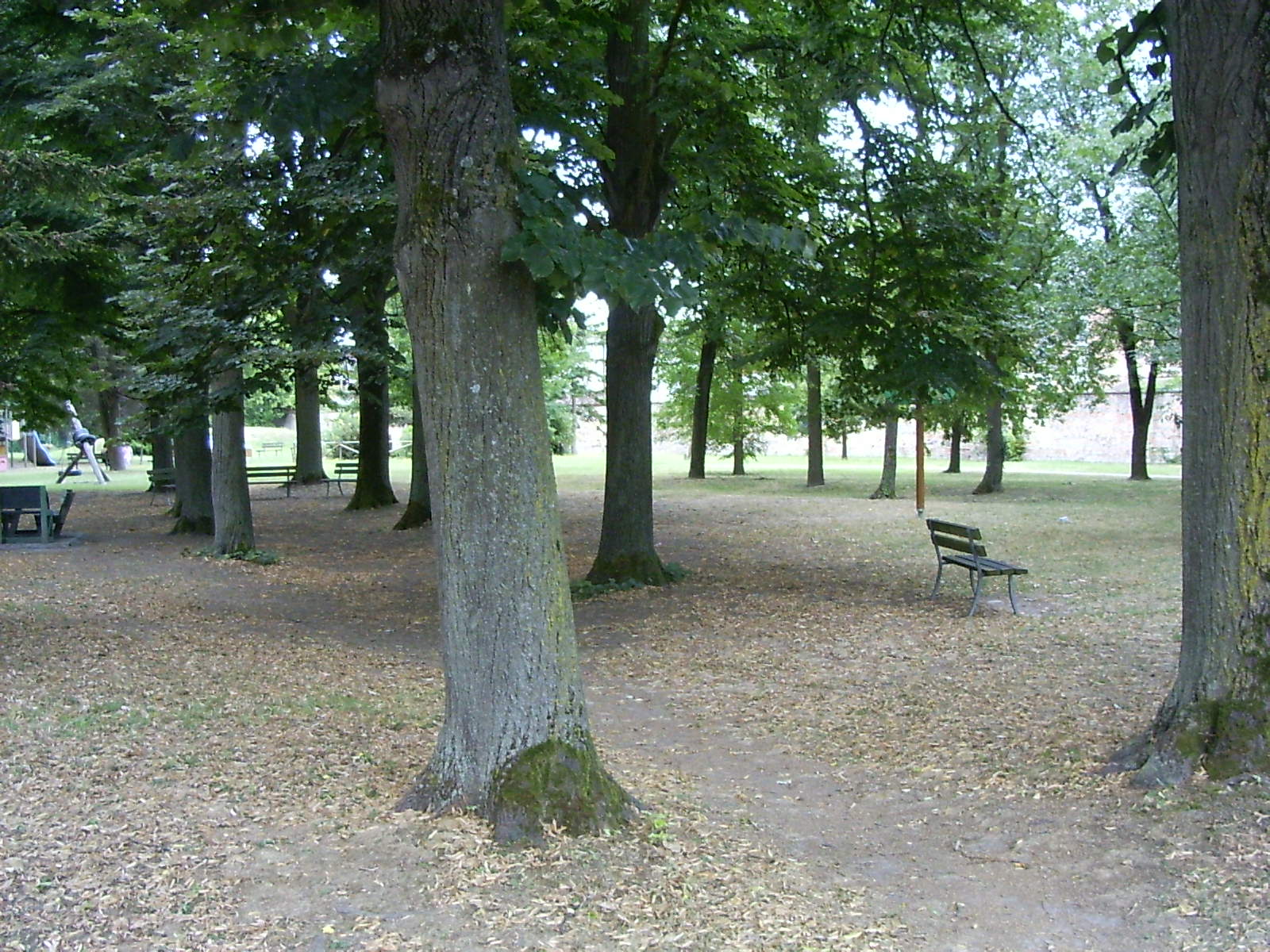 Tresigallo, park