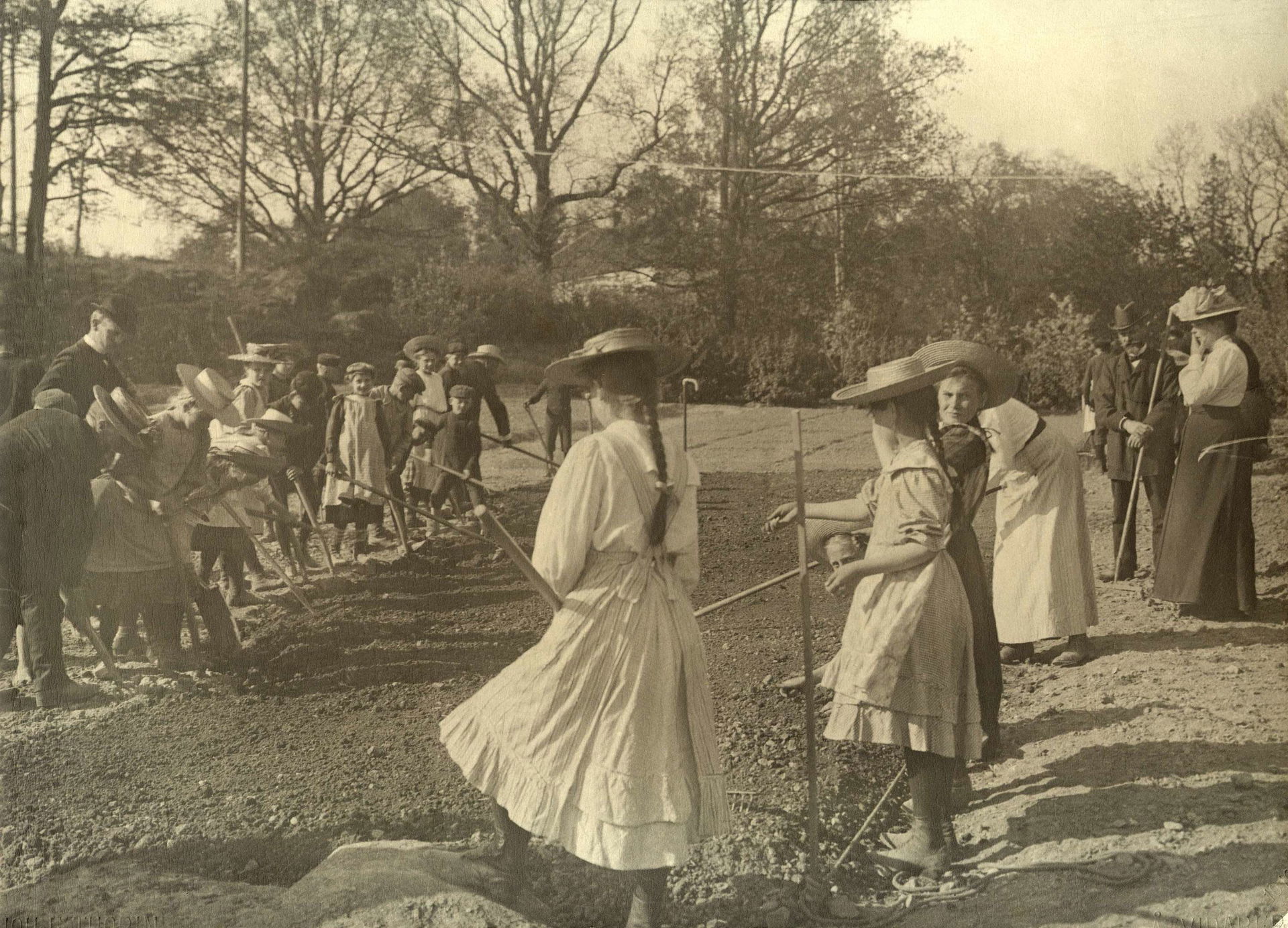 Children raking in the school garden, Åtvidaberg, 1910
