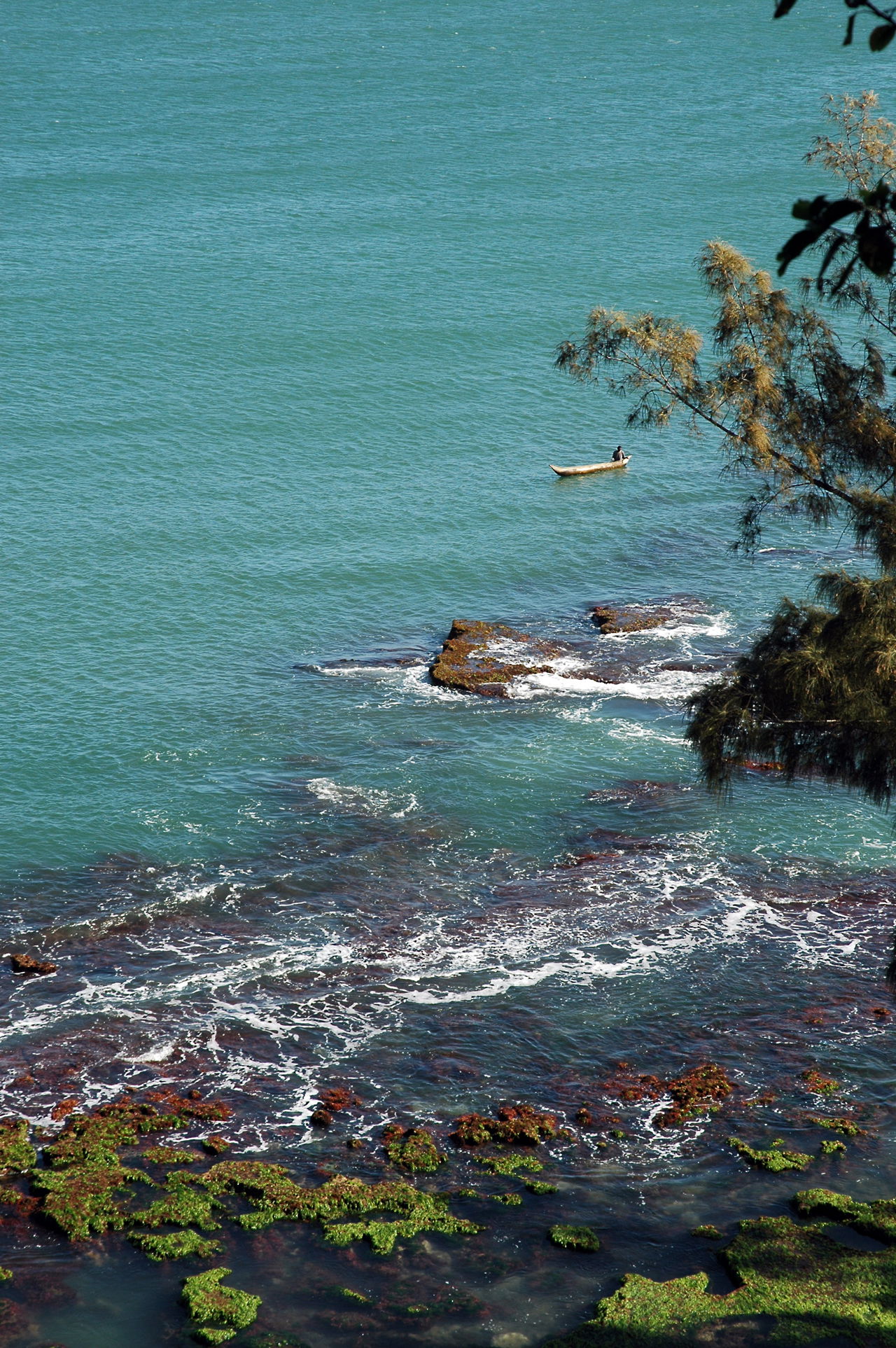 Taolanaro Fisherman