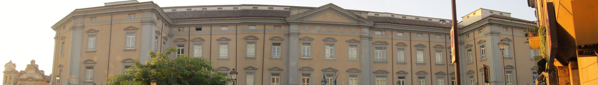 Opera propria