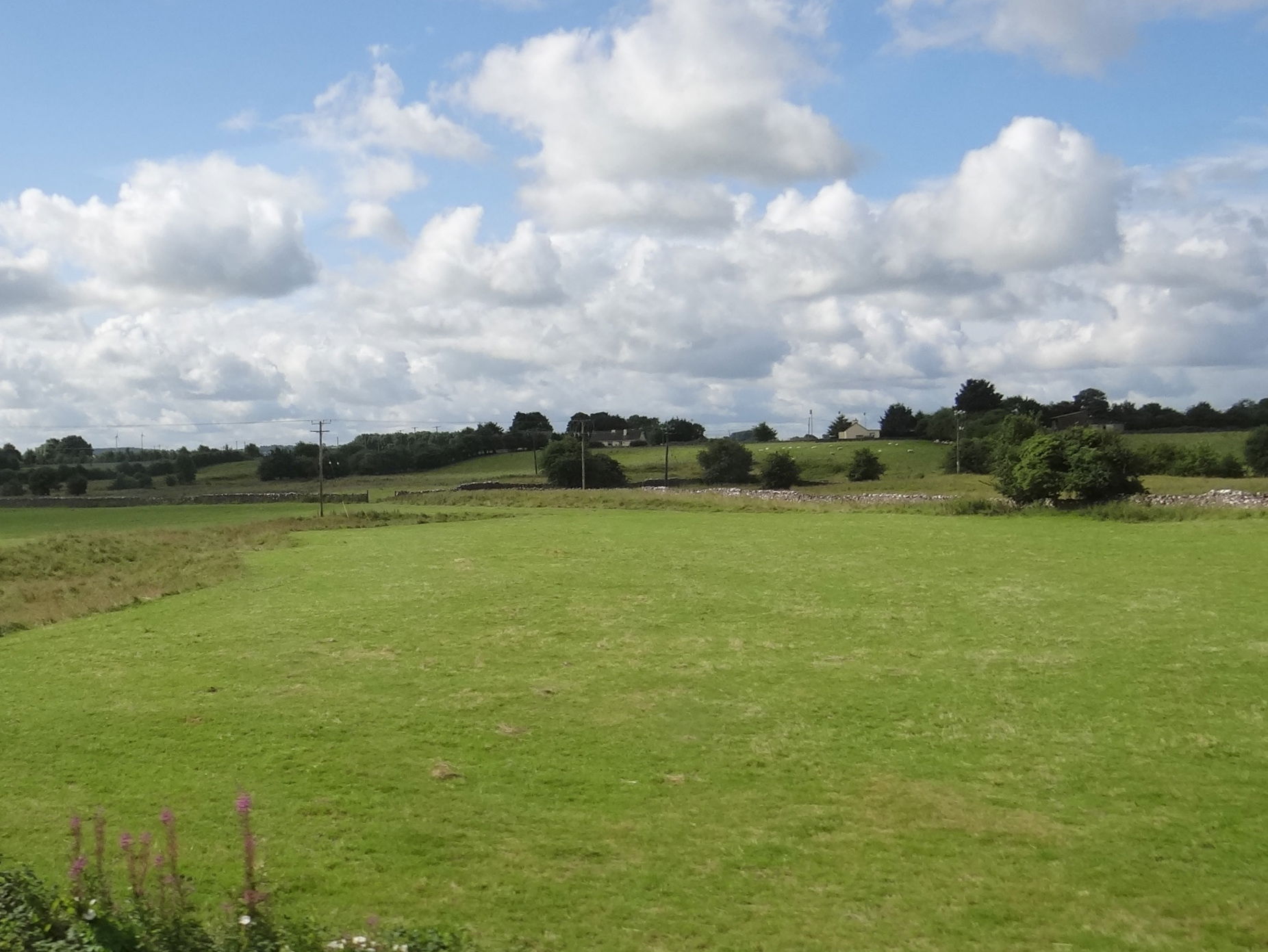 Fields west of Roscommon