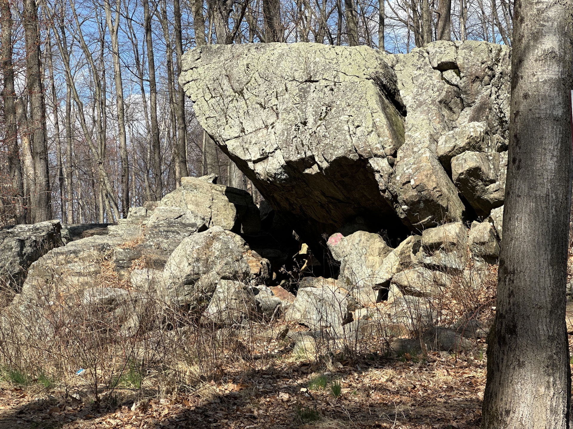 Parsippany rock house, Parsippany, NJ