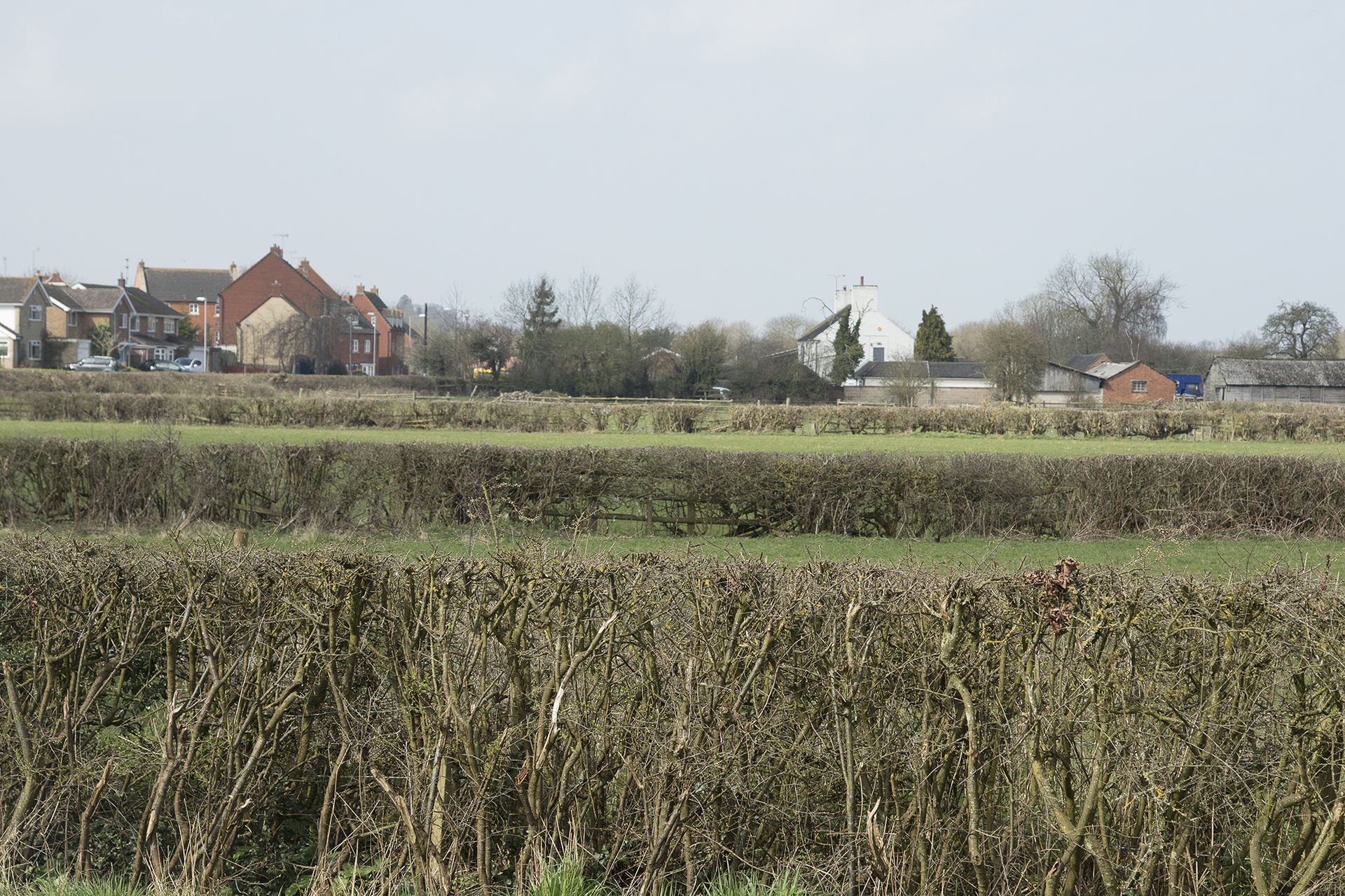 The edge of Rolleston on Dove