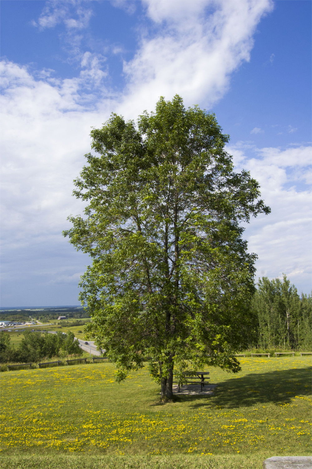 Temiskaming Shores