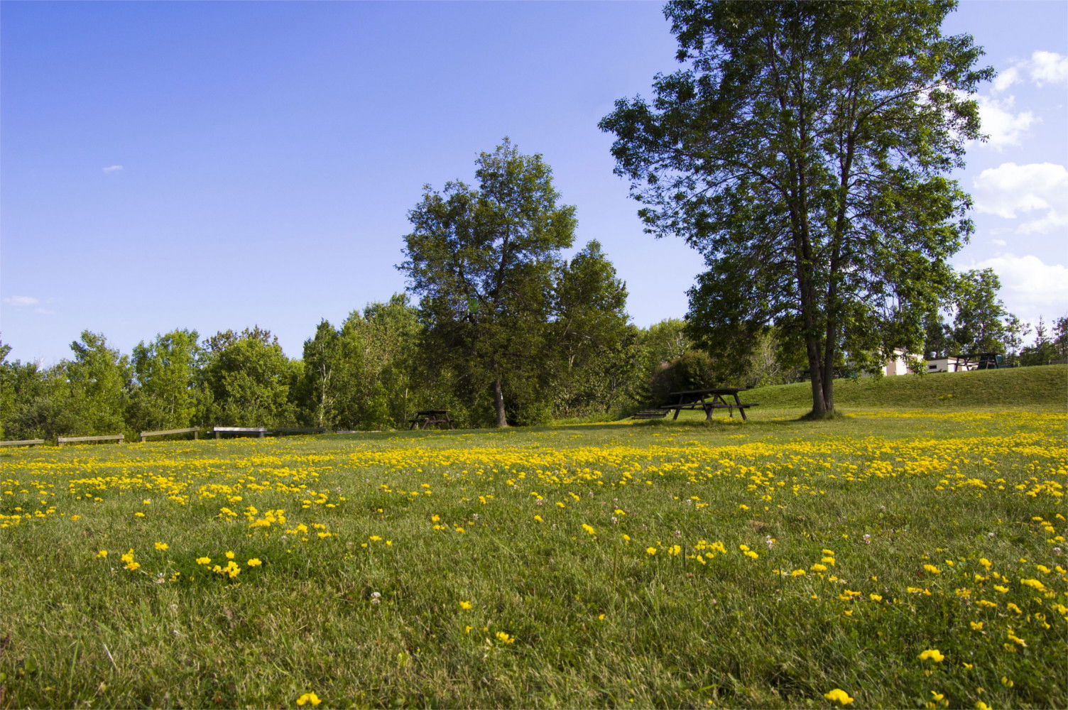 Temiskaming Shores