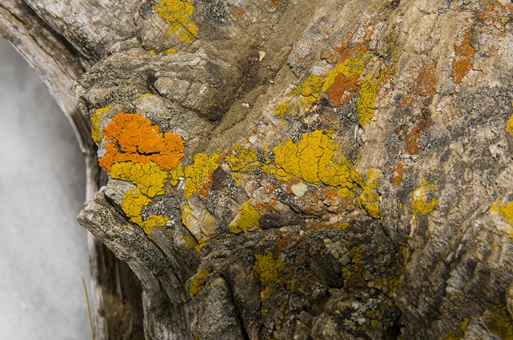 Clear Creek County, CO, USA
