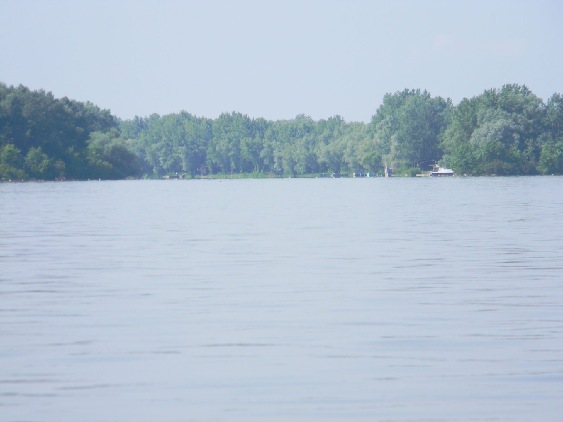 View from Danube, Dubovac side, on Mlava river estuari