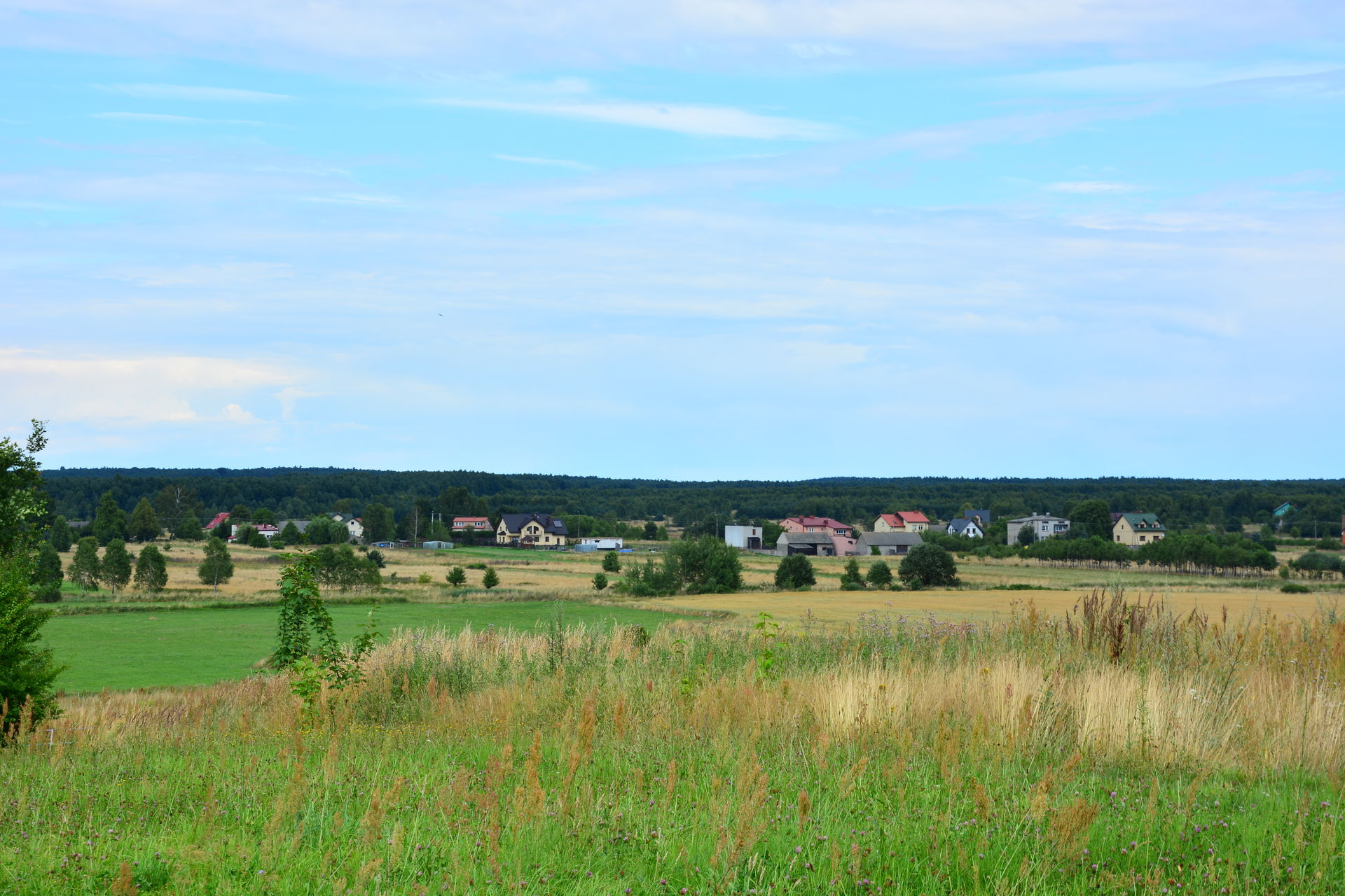 Landscape of Skarżysko Książęce seen from Książęca street side,…