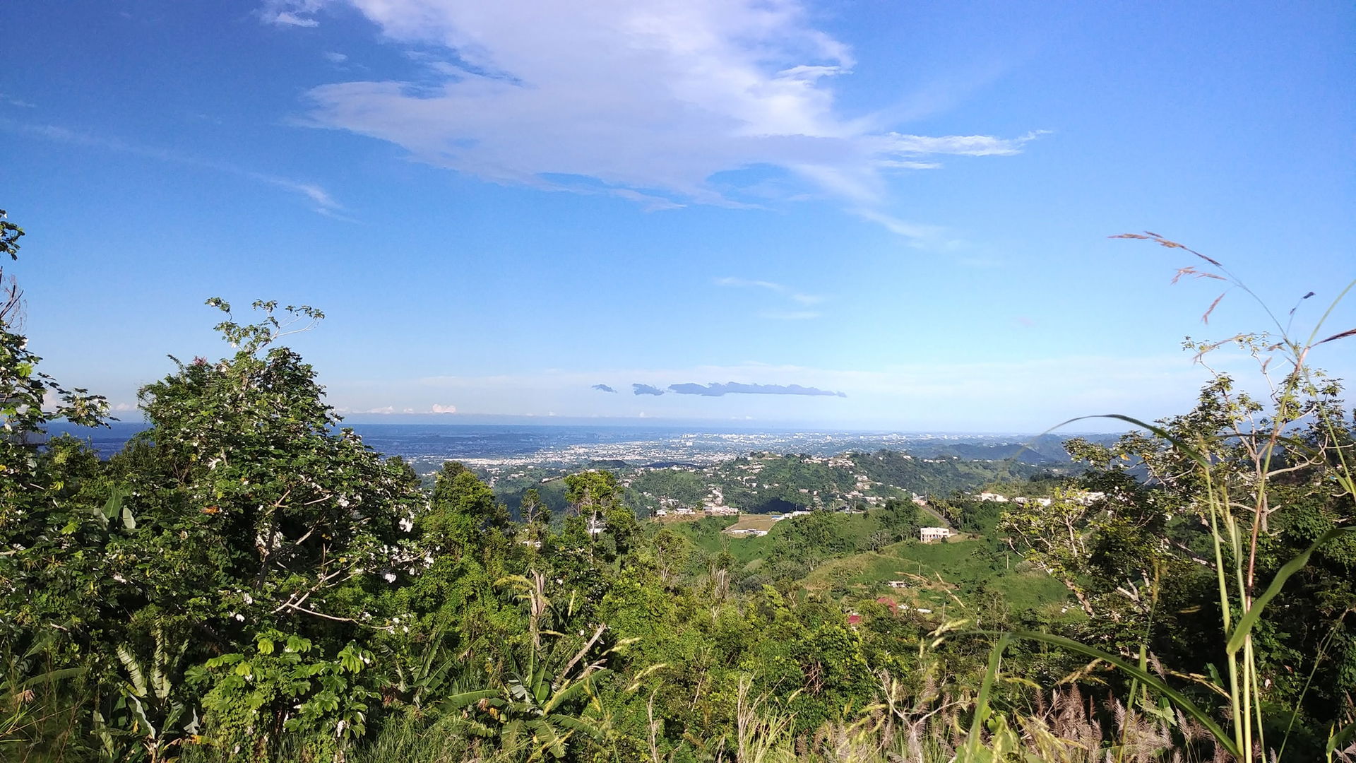 Barrio Cedro Abajo, Naranjito, Puerto Rico (2018)