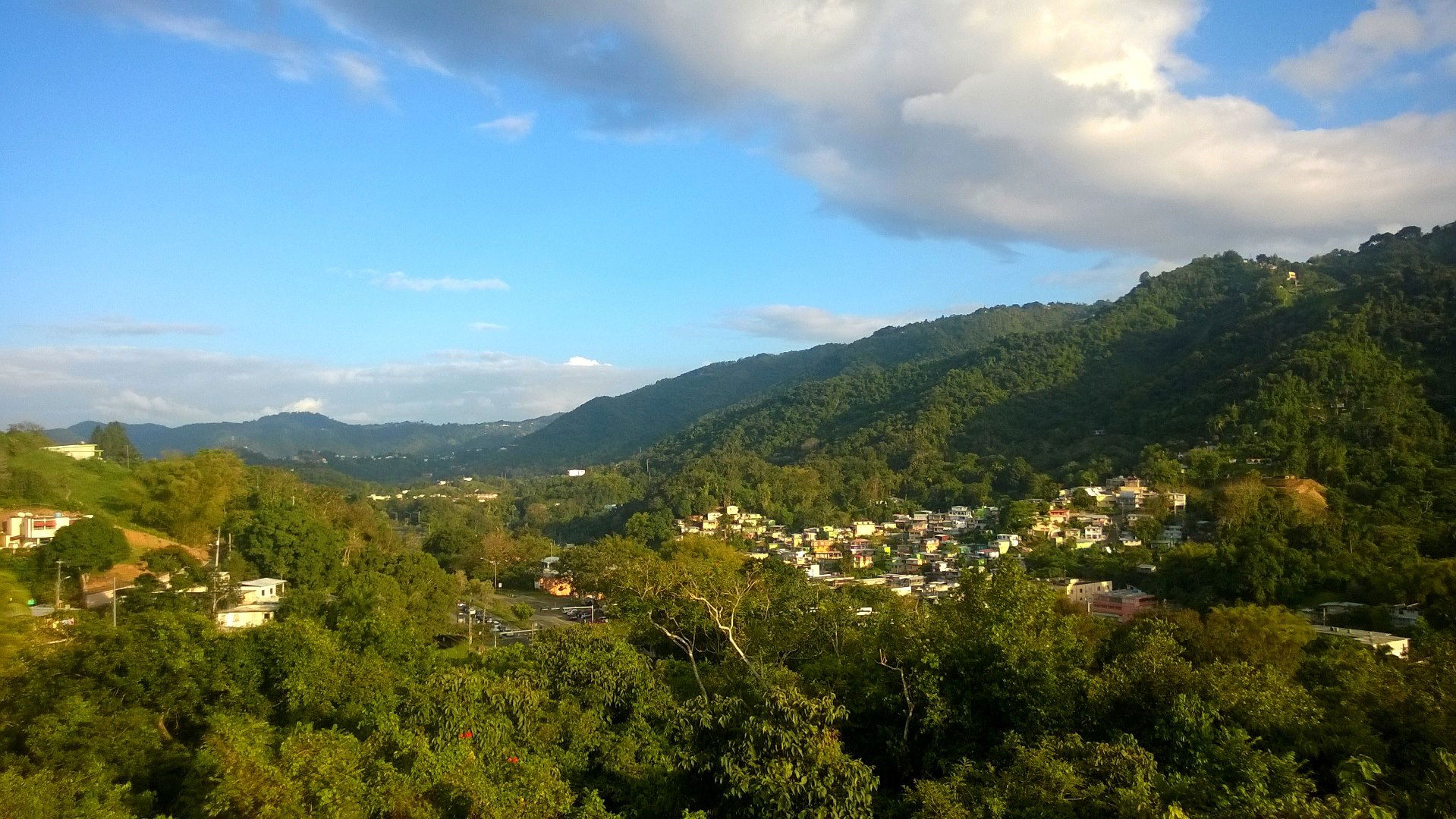 Barrio Achiote, Naranjito, Puerto Rico (2015)