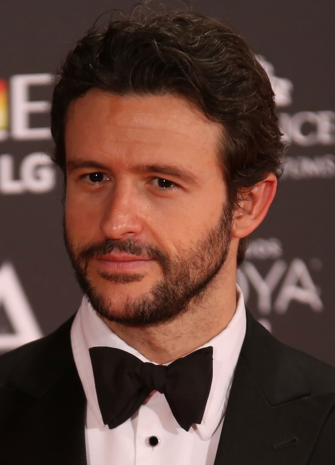 Premios Goya 2017