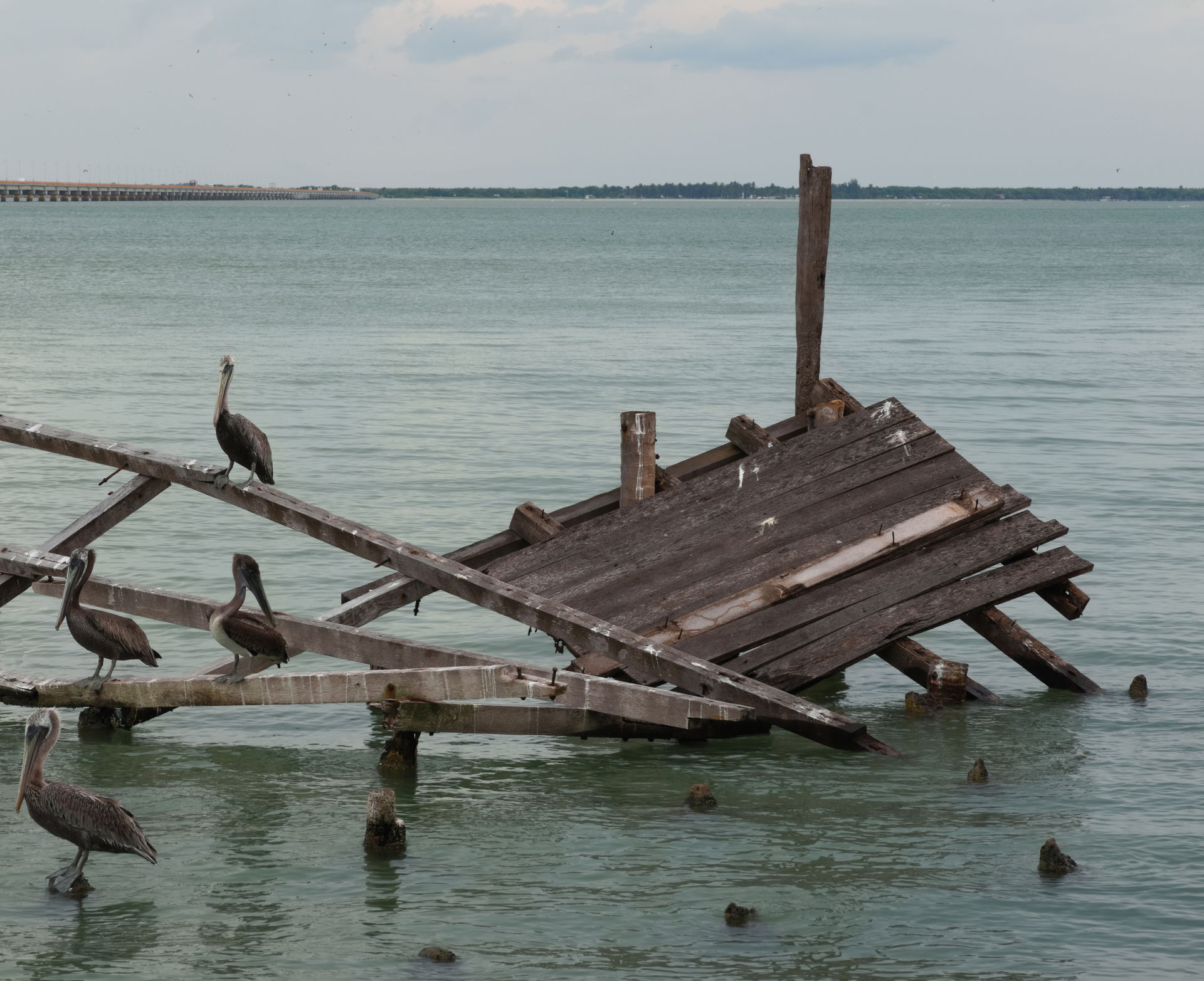 Old dock, Ciudad del carmen, Campeche, Mexico