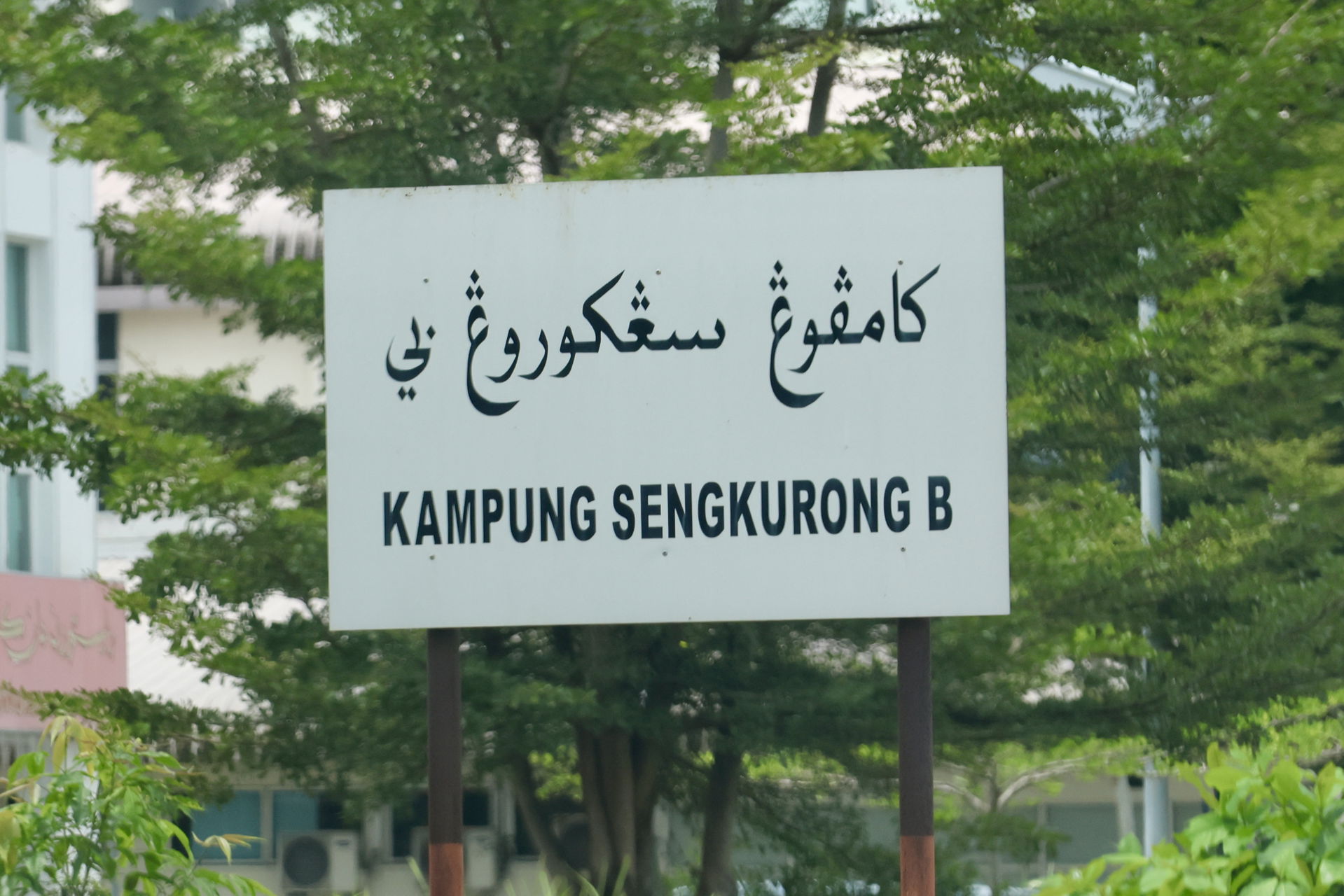 Sengkurong on 24 Augus 2024.