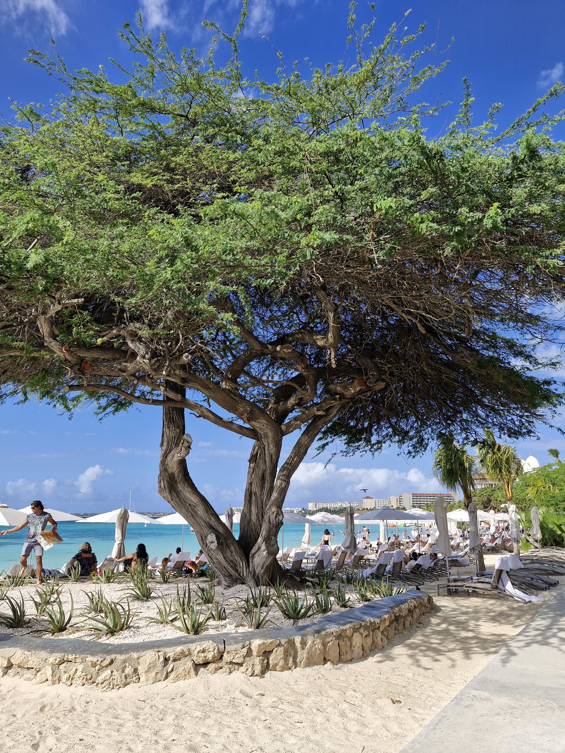 Peaceful community Land Back protest at Basiruti Beach, Aruba.