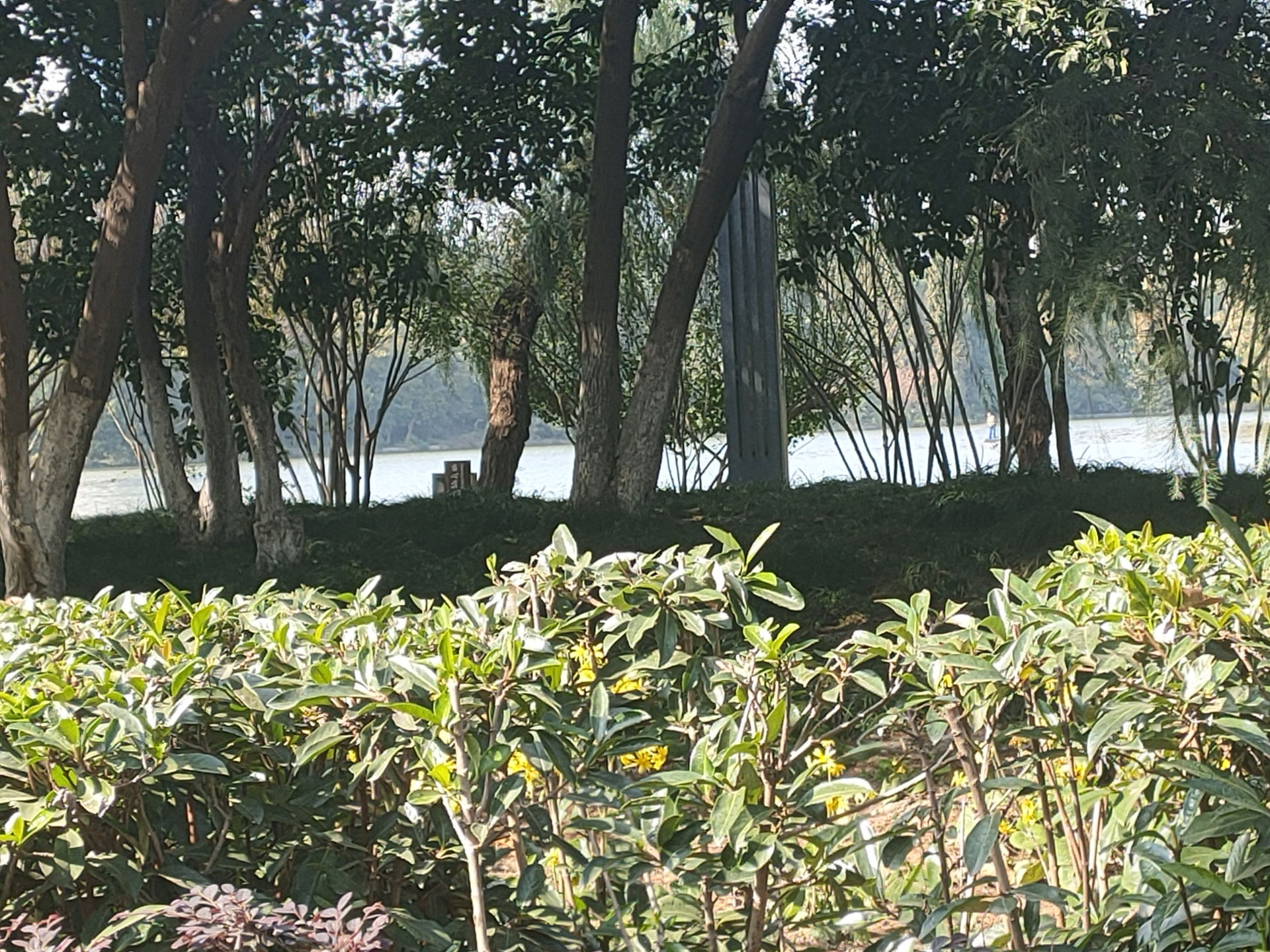 ​安徽省合肥市西山景区外景