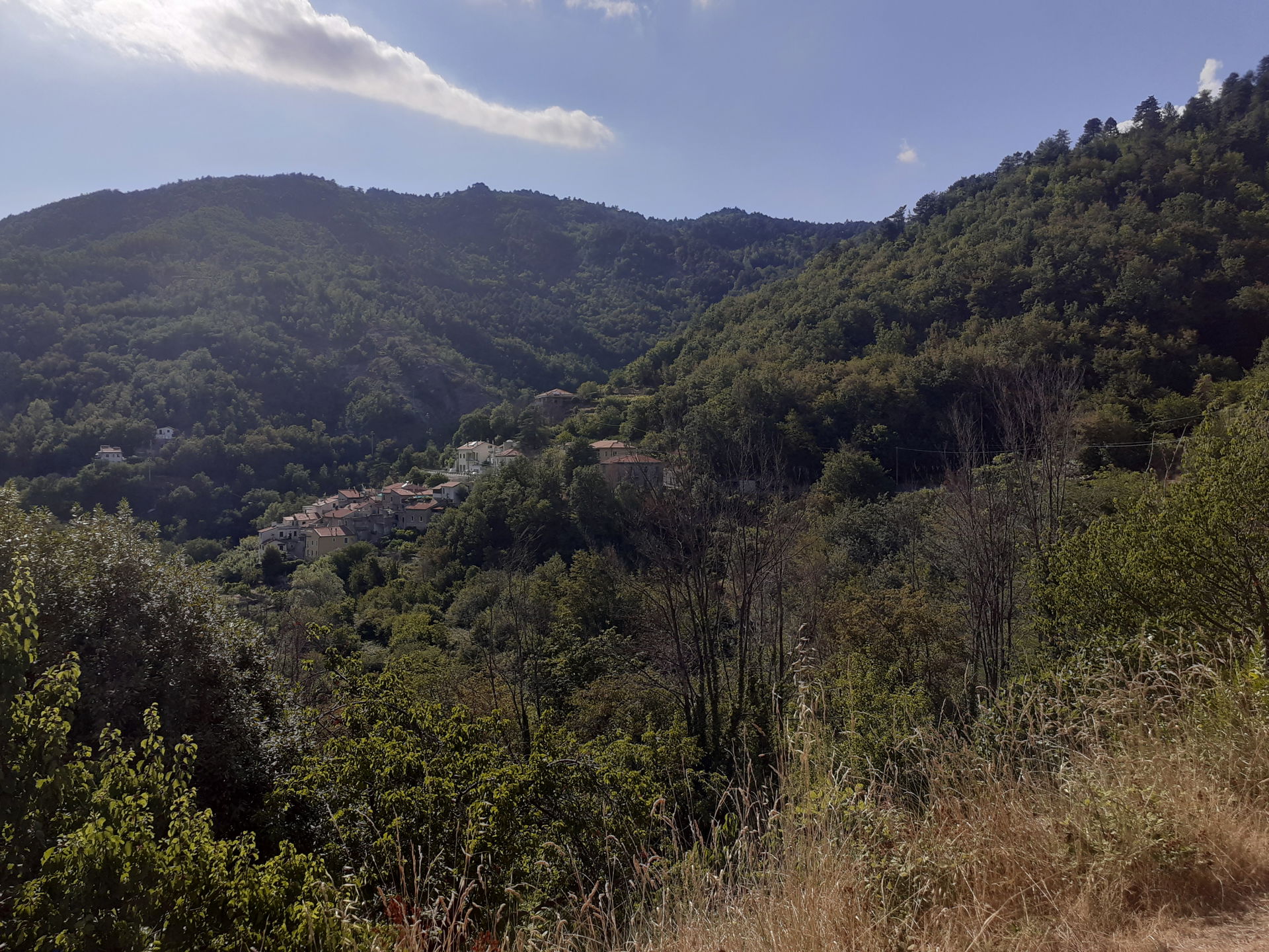 Vista panuràmica da frasiun de Cûgnu, Barestin (Sv), daa stradd…