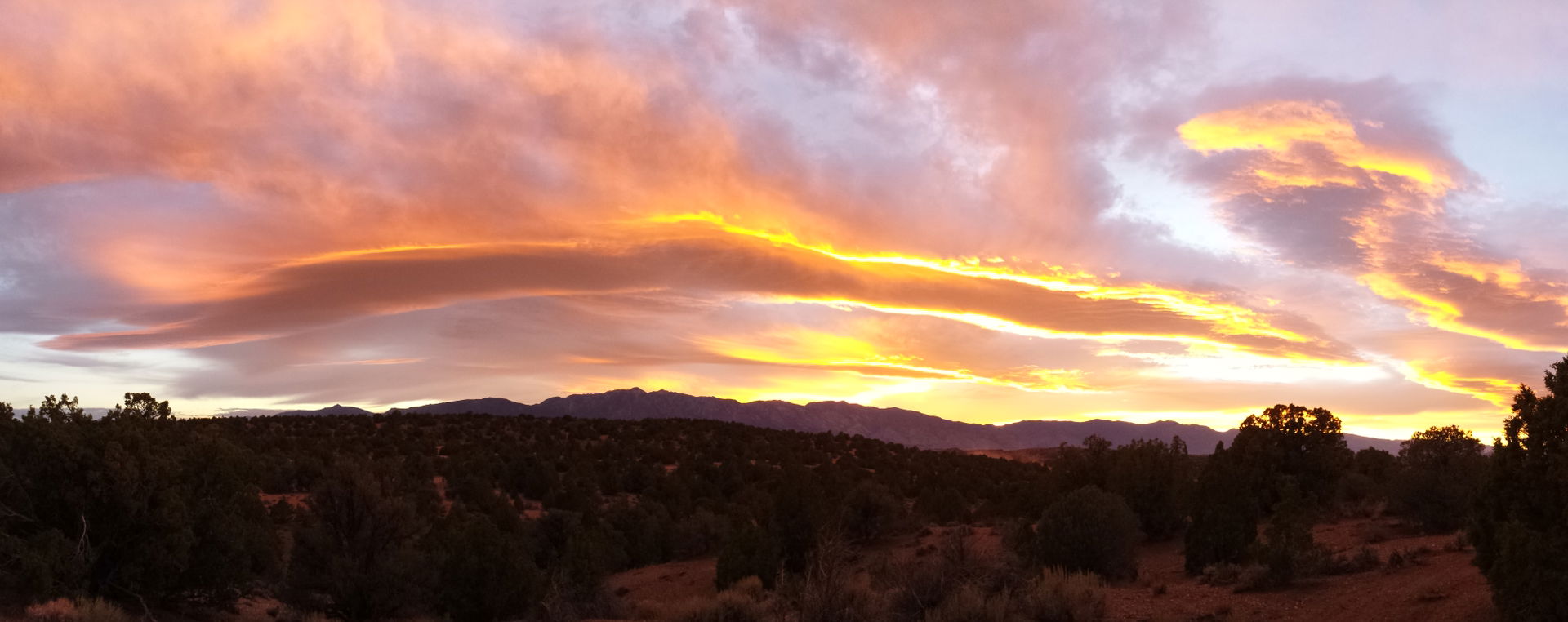 Gardnerville, NV